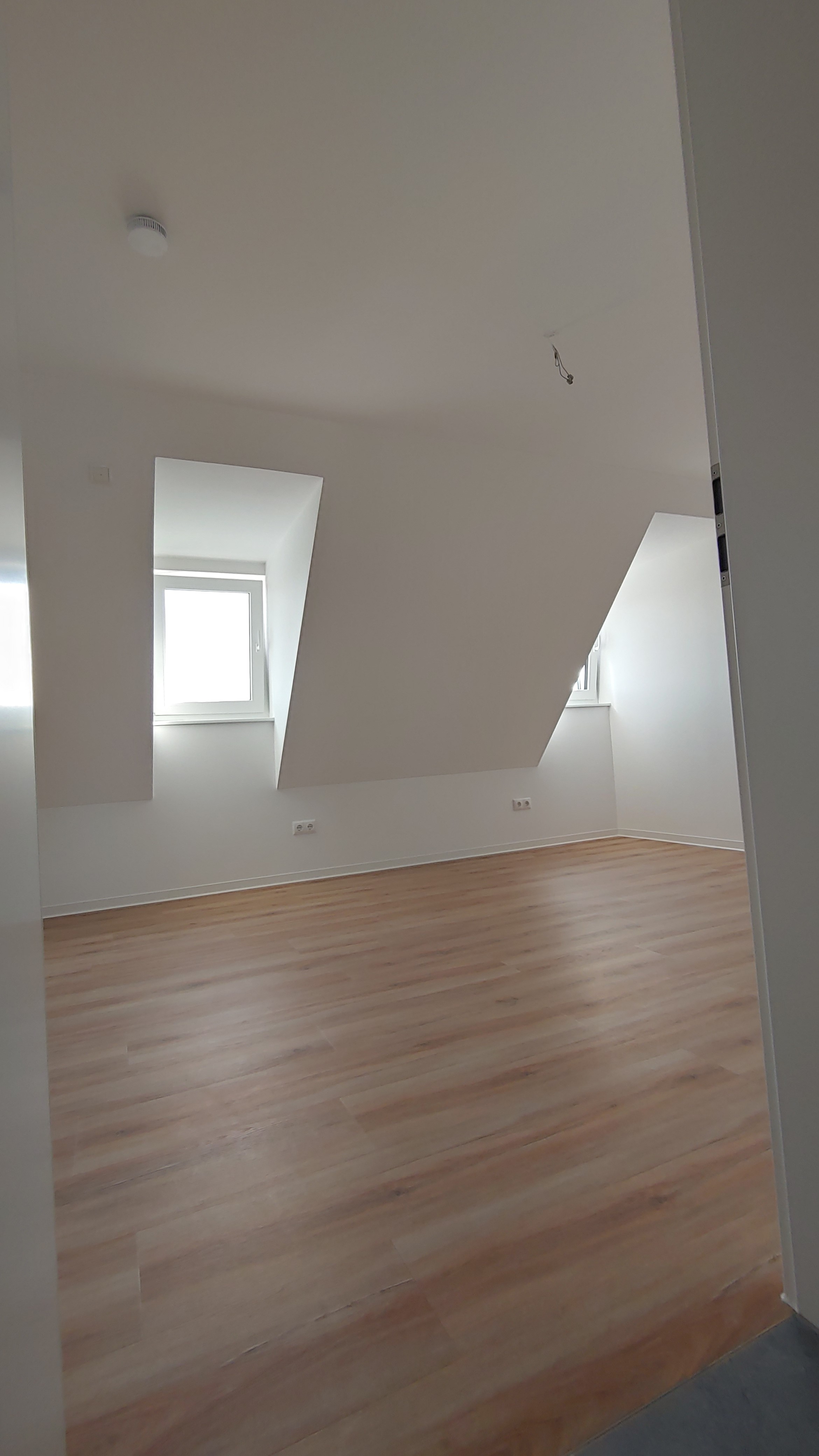 20250309 142022 HDR.jpg kopie.jpg