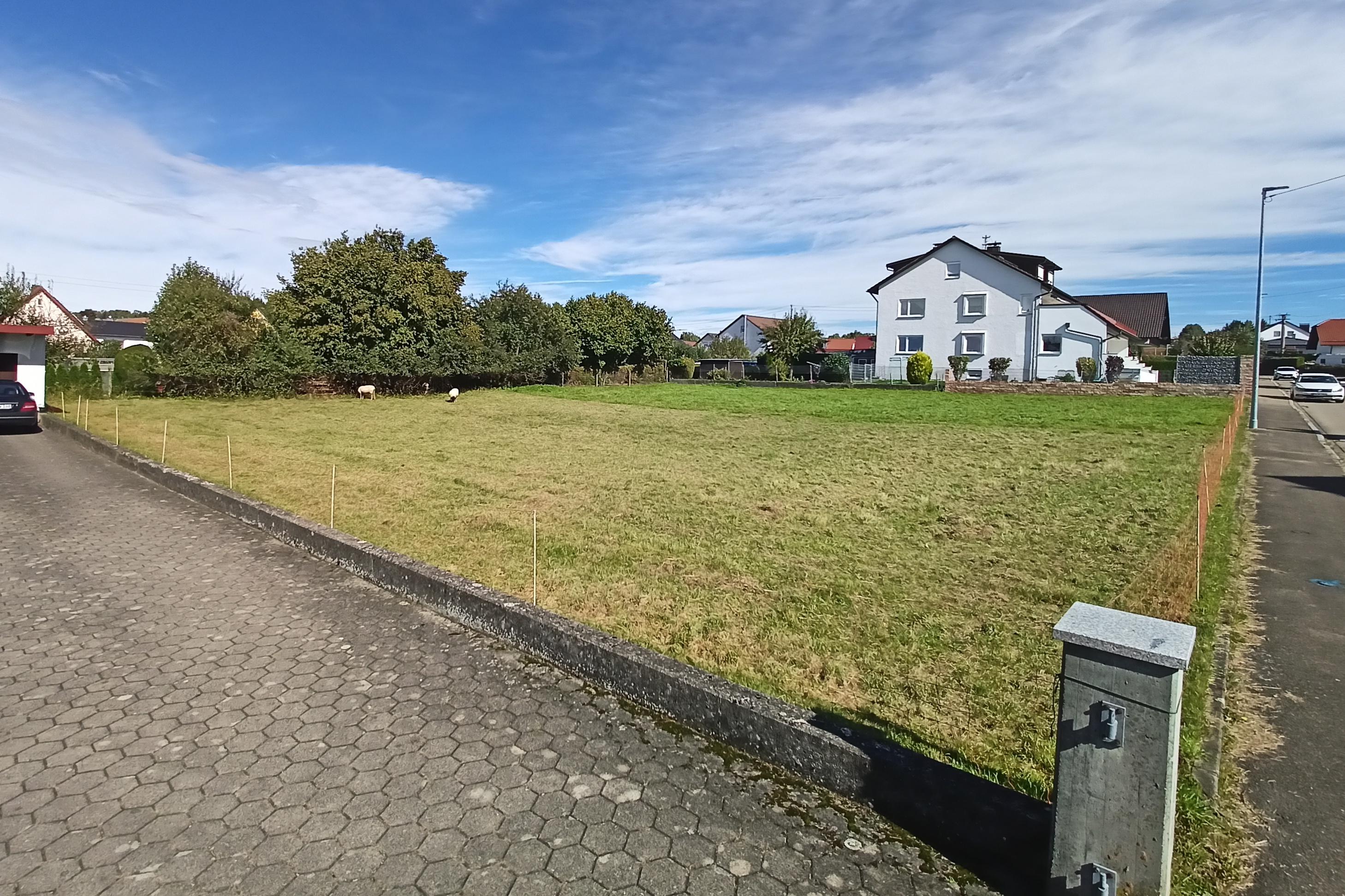 Blick nach Nord-Osten.jpg