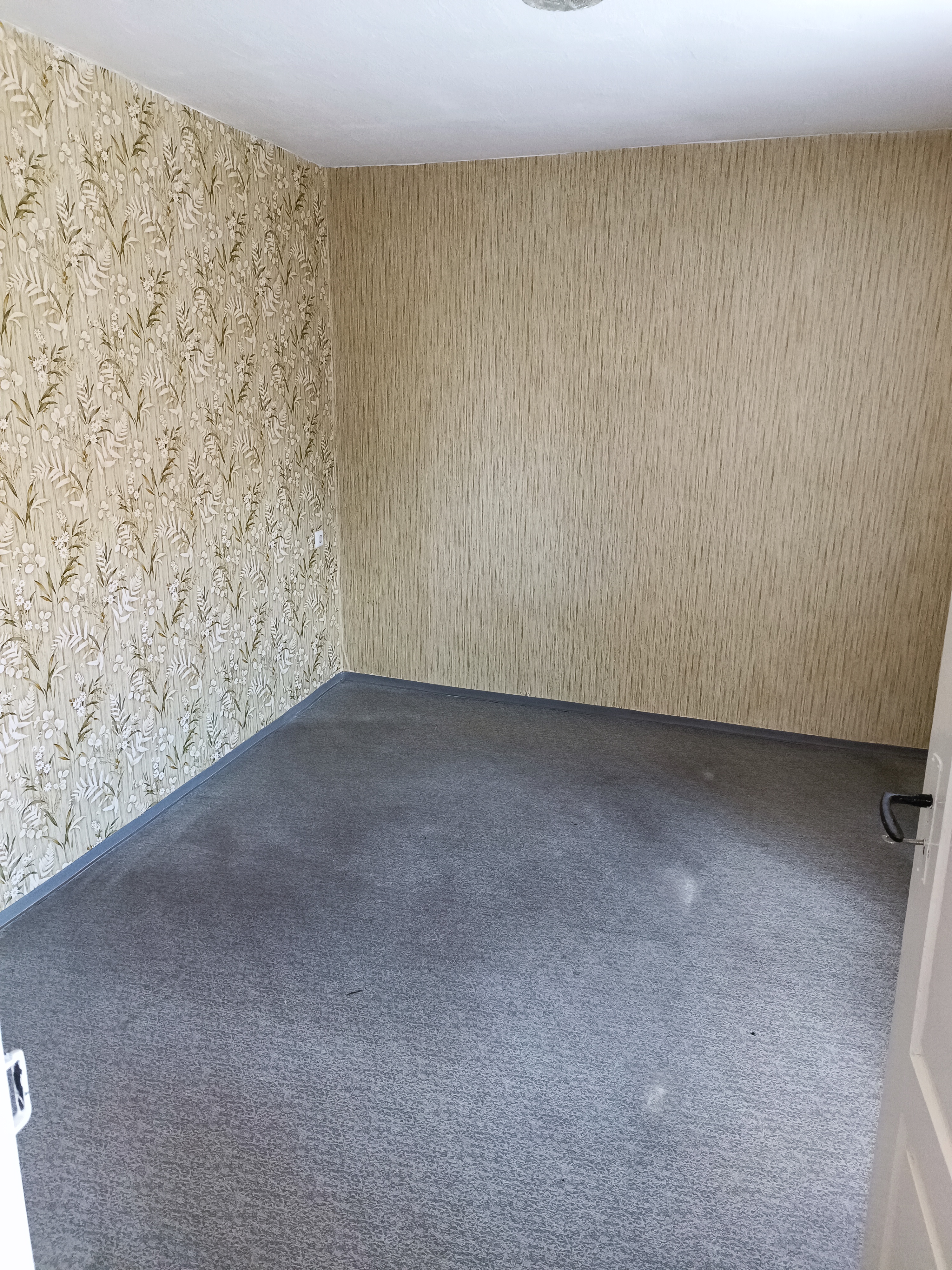 Zimmer OG1-1.jpg