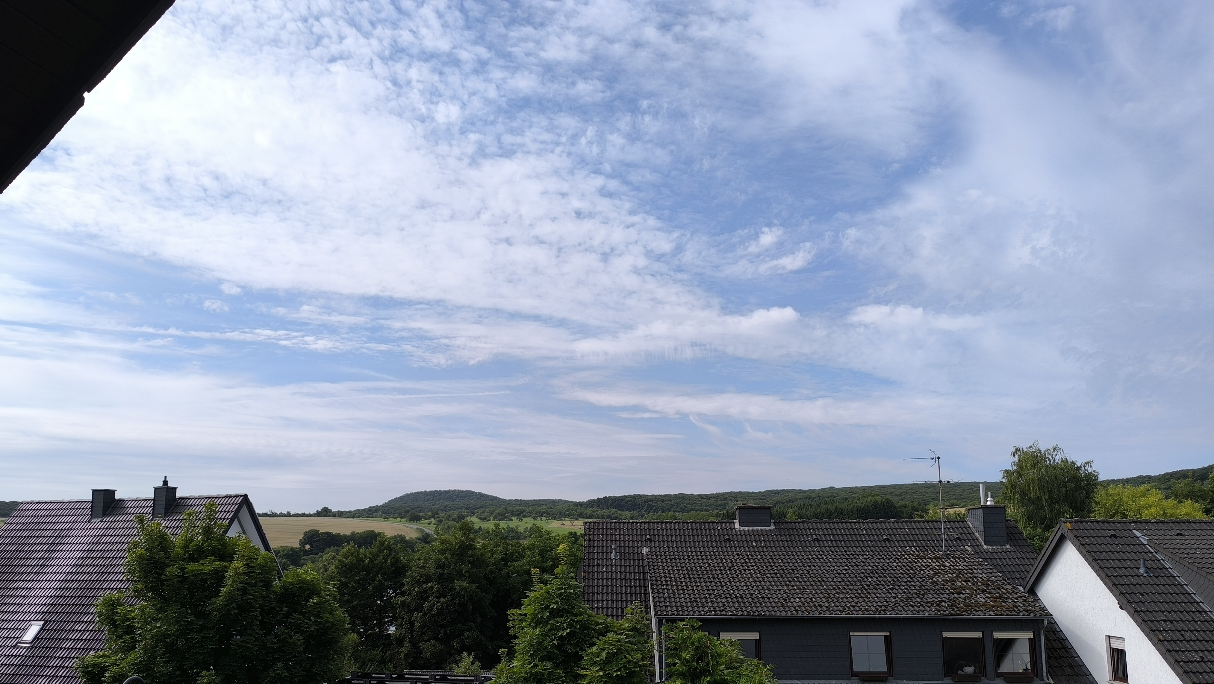 IMG 20250809 104441 1b.jpg