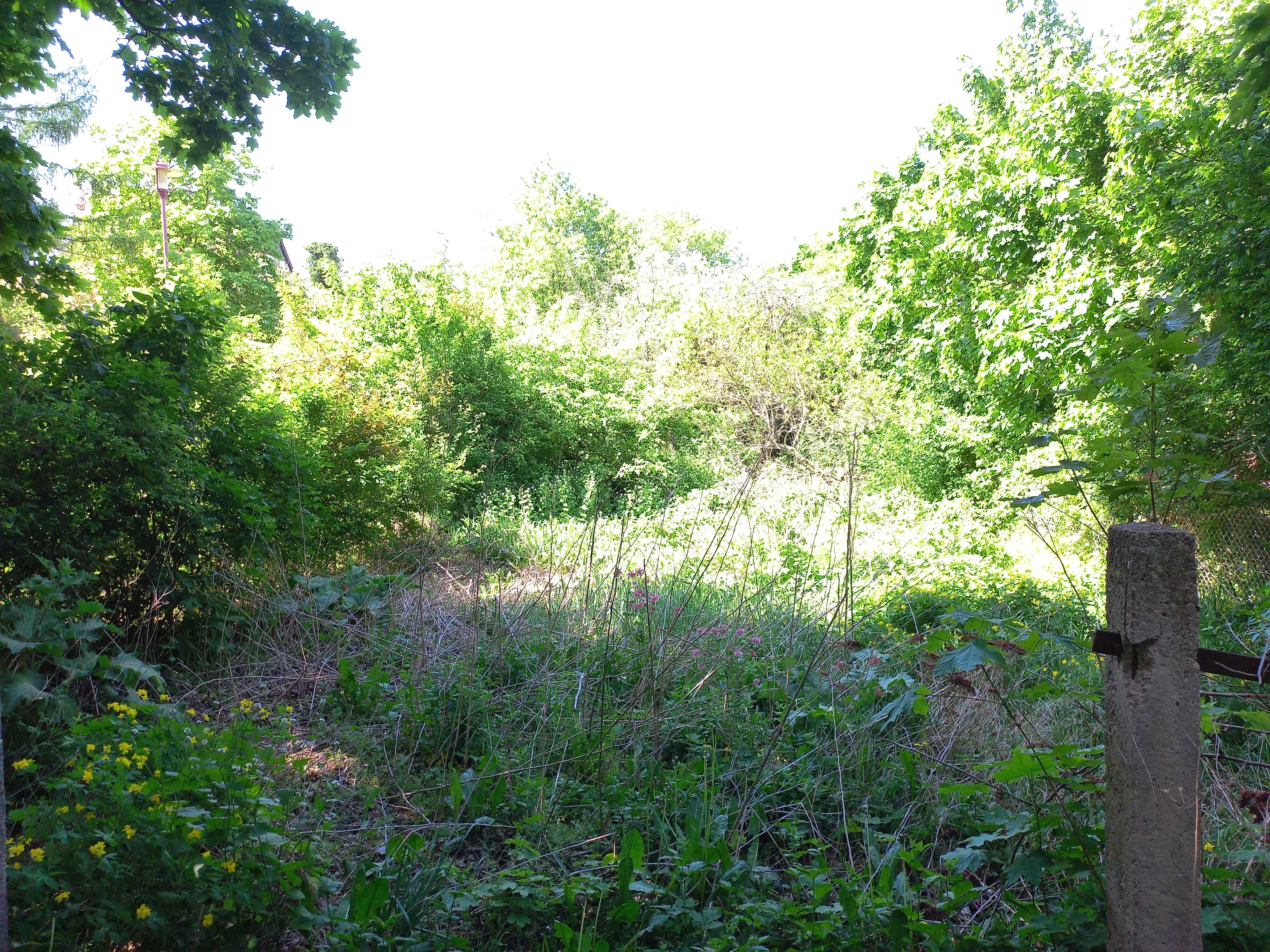 Objekt616 617 02.jpg