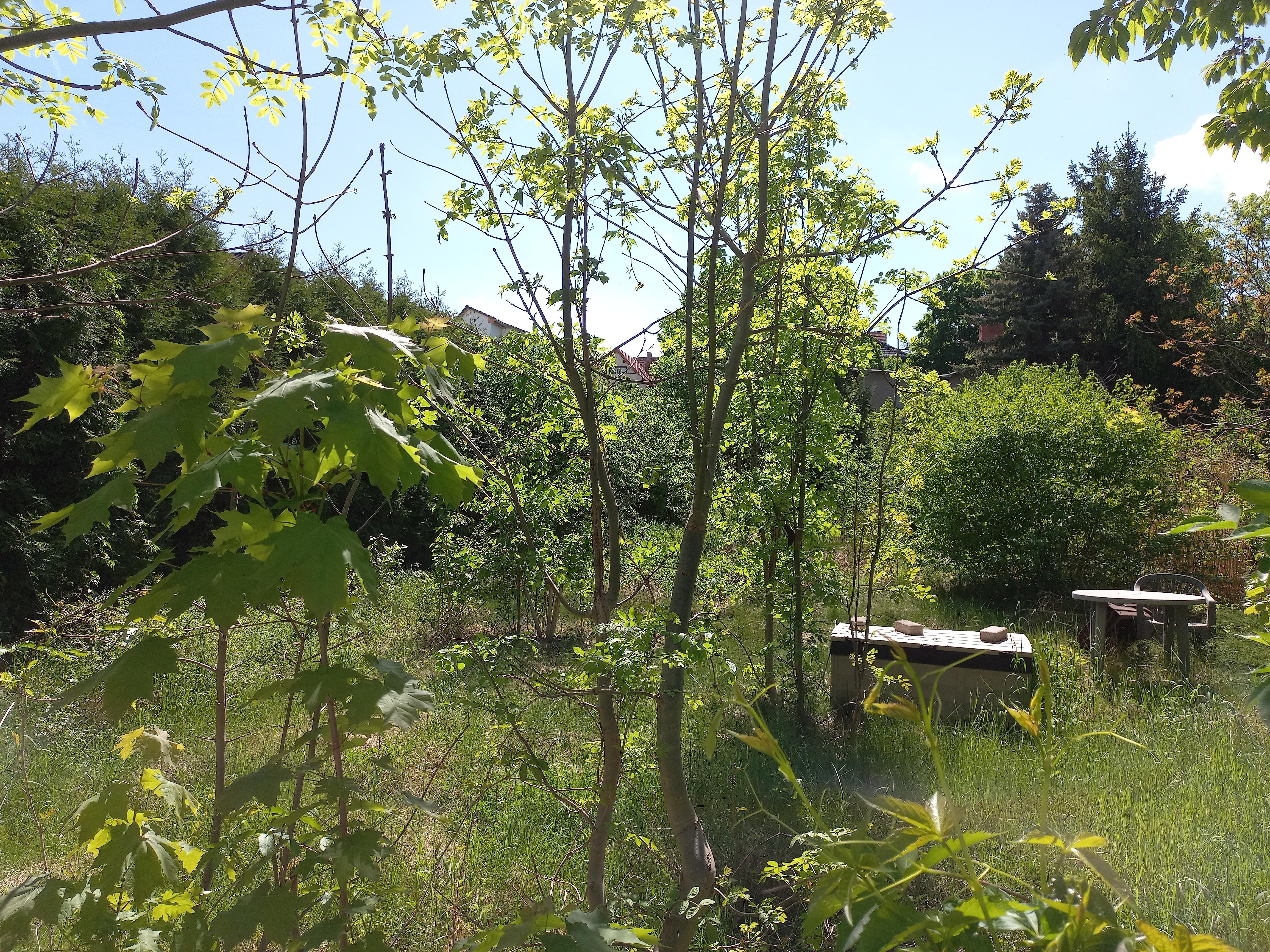 Objekt616 617 03.jpg