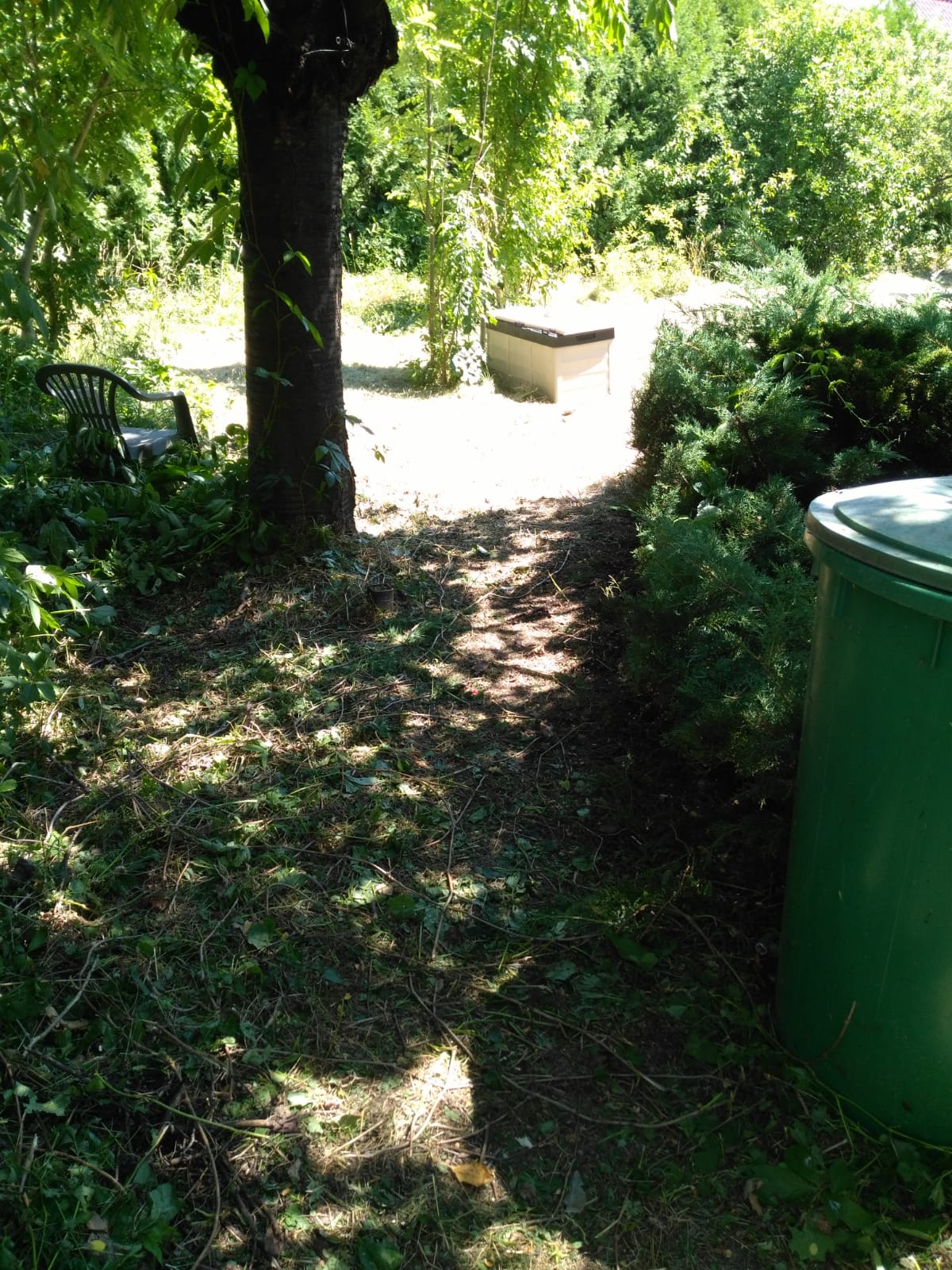 Objekt 594 Grundstück 02.JPG