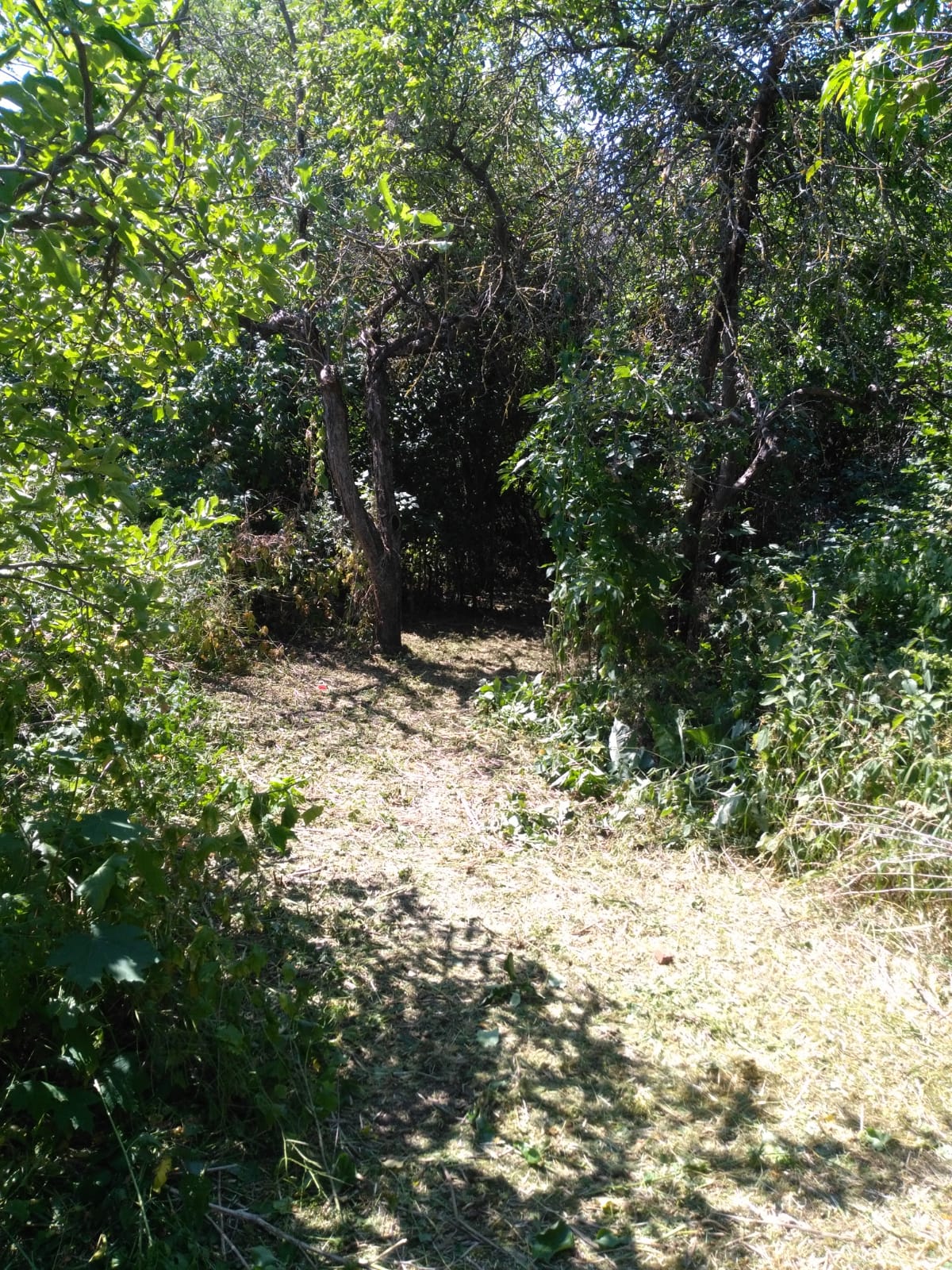 Objekt 594 Grundstück 03.JPG