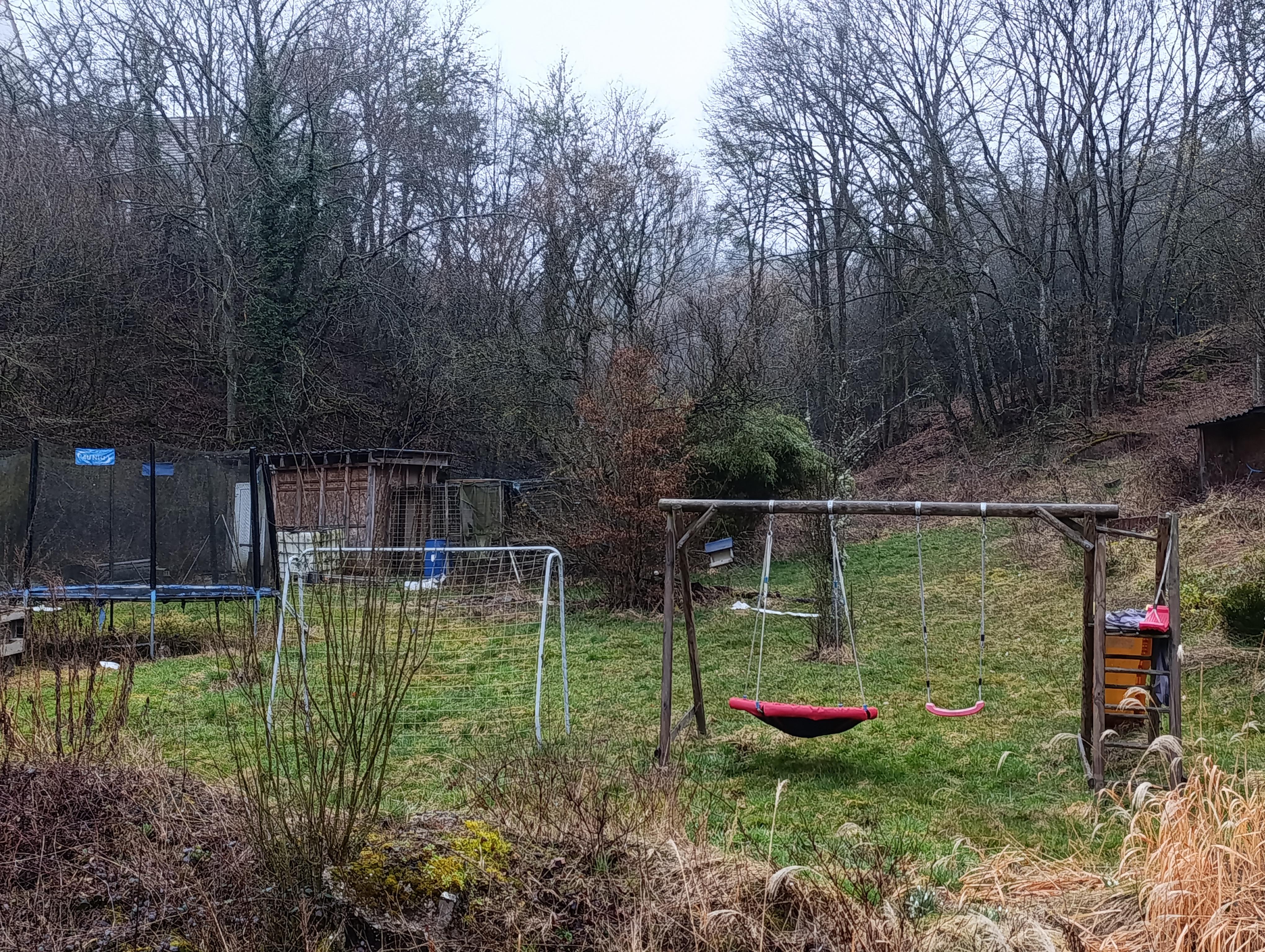 IMG 20250313 163015.jpg