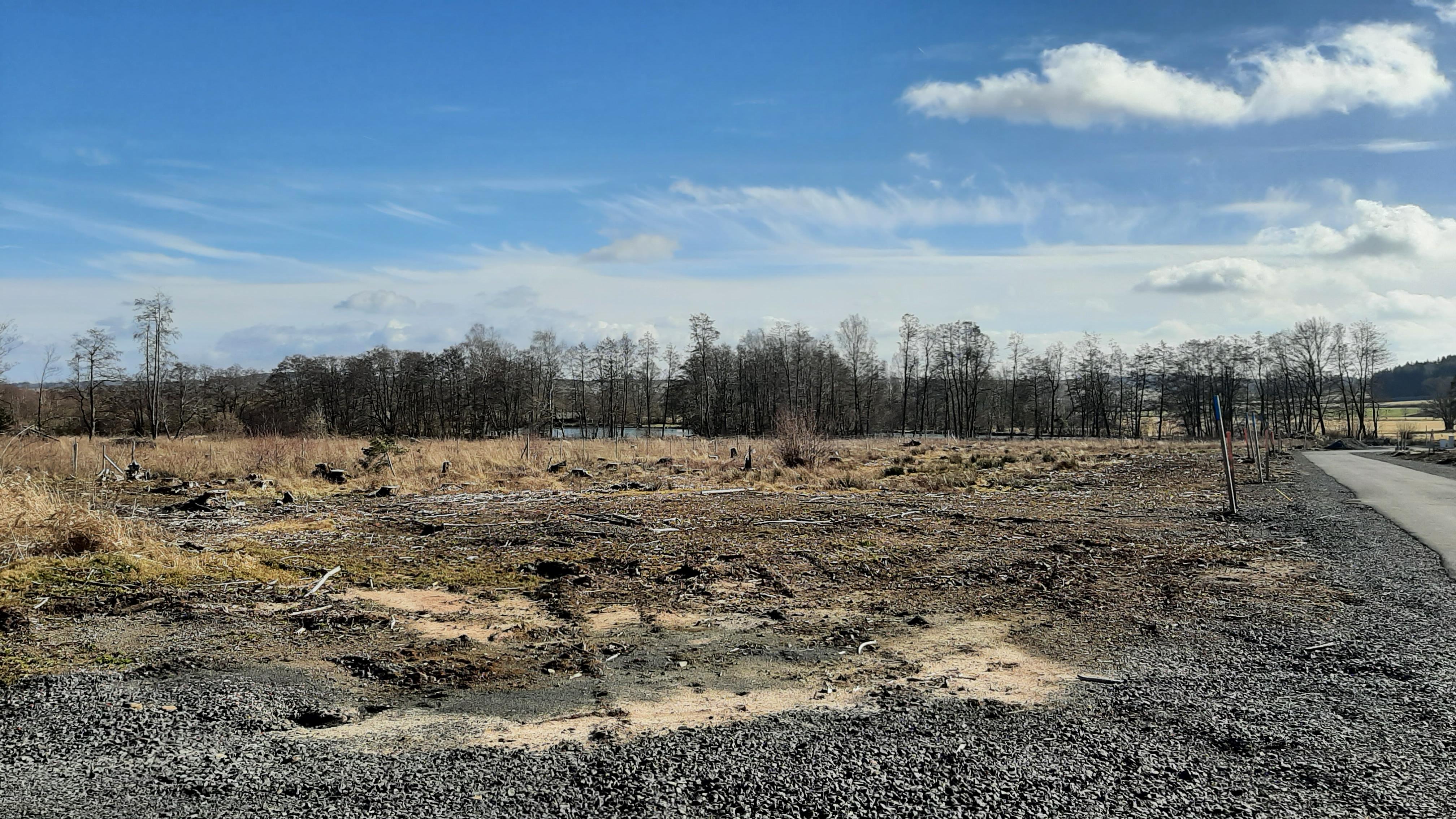 Blick nach Osten Richtung Katzenteich.jpg