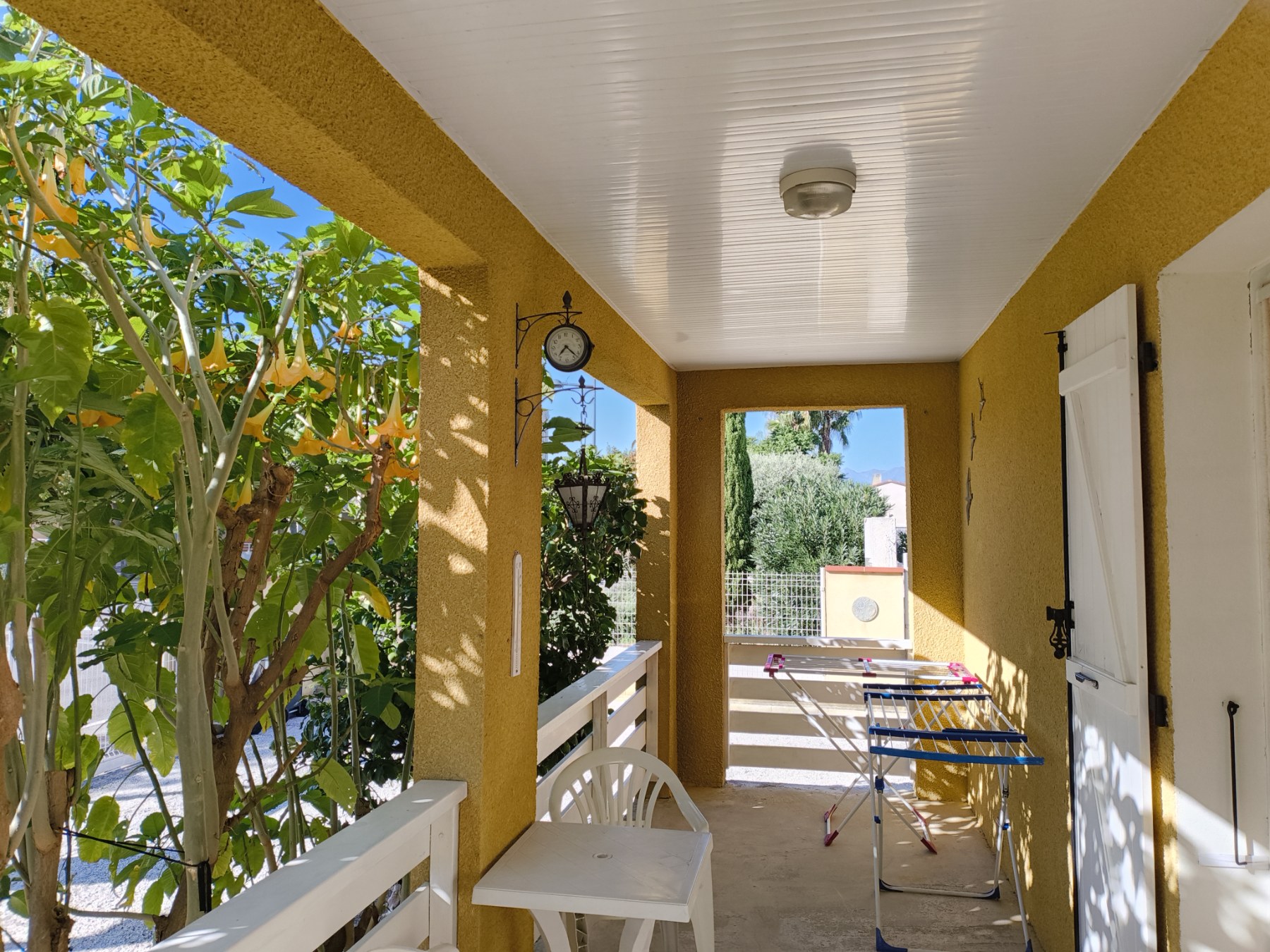 Vordere südliche überdachte Terrasse mit Datura (Engelstrompete) und Zitronenbaum