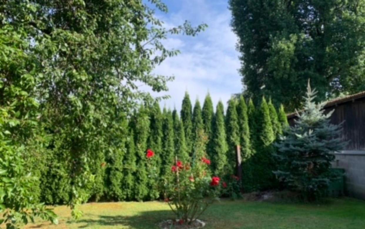 Garten.jpg