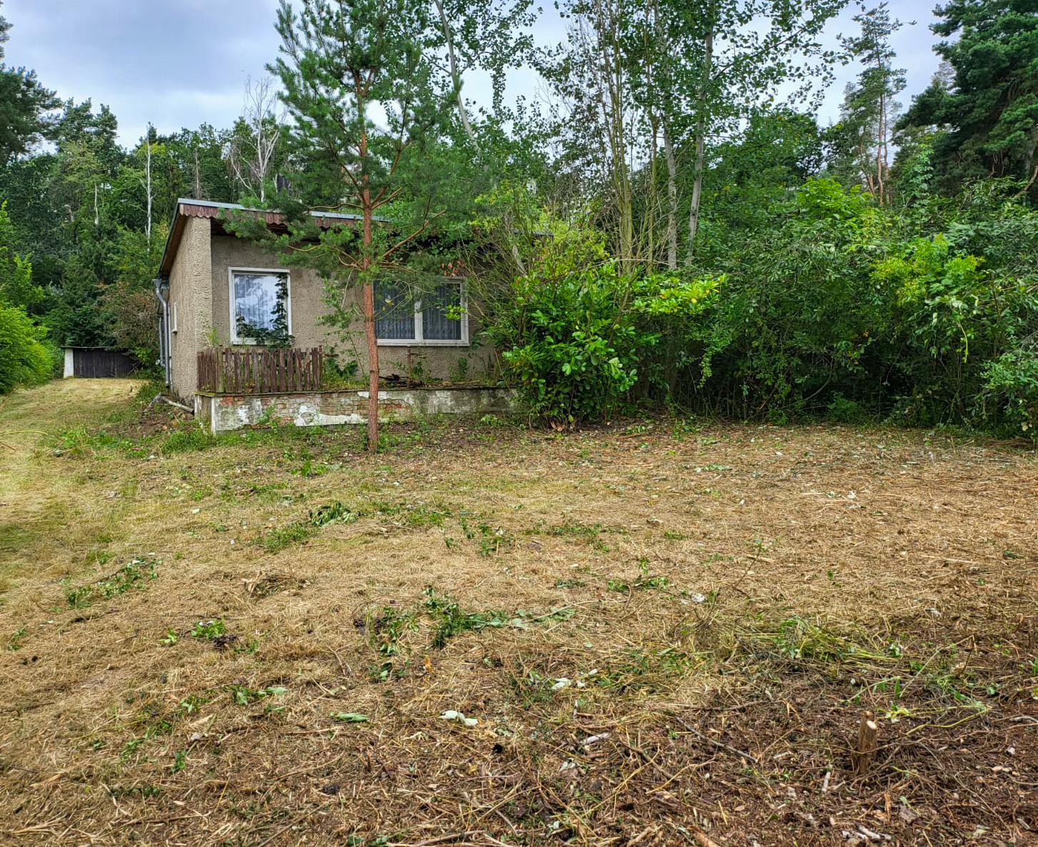 IMG-20260428-WA0008.jpg