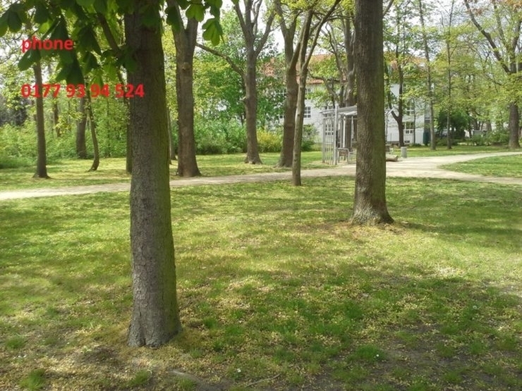 lagemarkranstädt.jpg