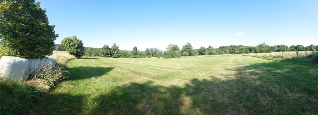 DSC 0001.JPG