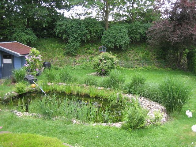IMG 1831.JPG