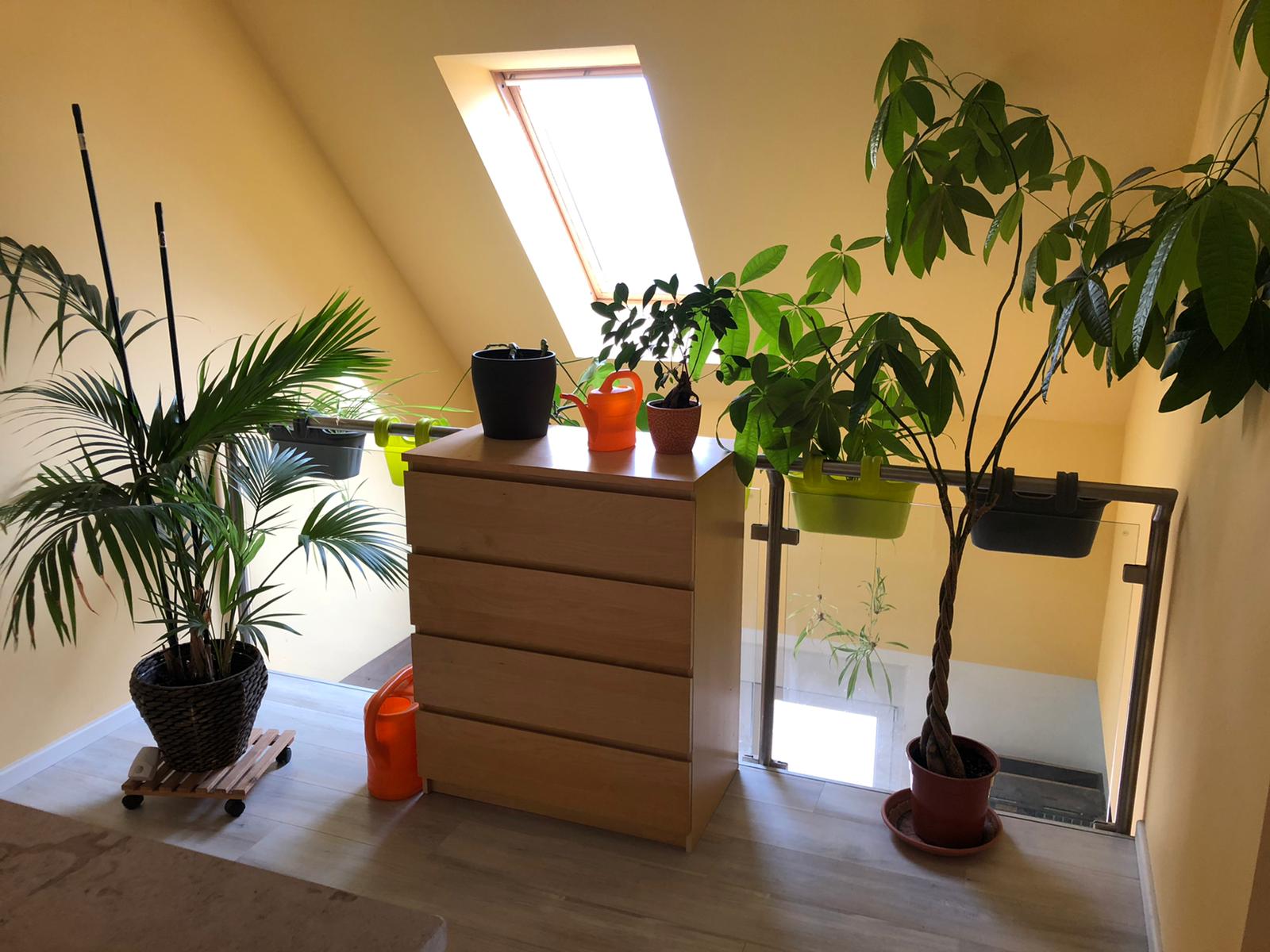 verglaste Galerie ++ Gestaltungsbeispiel++ alternativ zusätzlicher Arbeitsplatz möglich