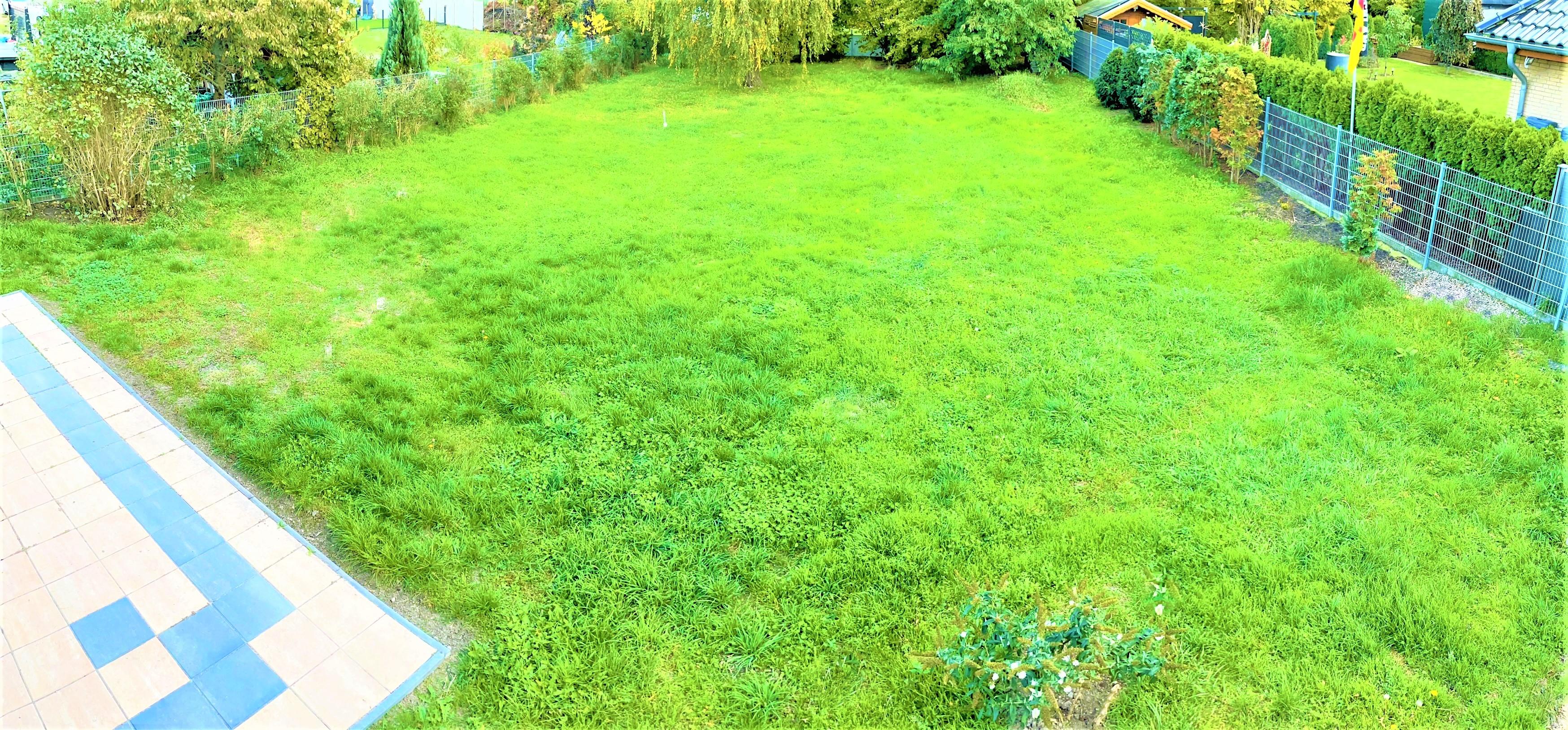 Schlafzimmerblick in den Garten