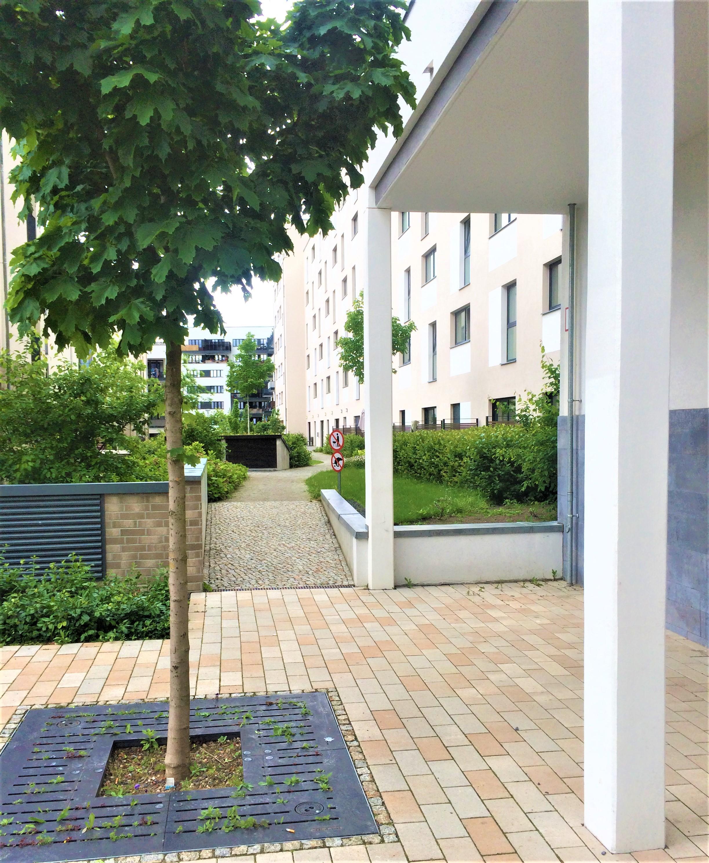 Hauseingang mit Blick in die Nachbarschaft.jpg