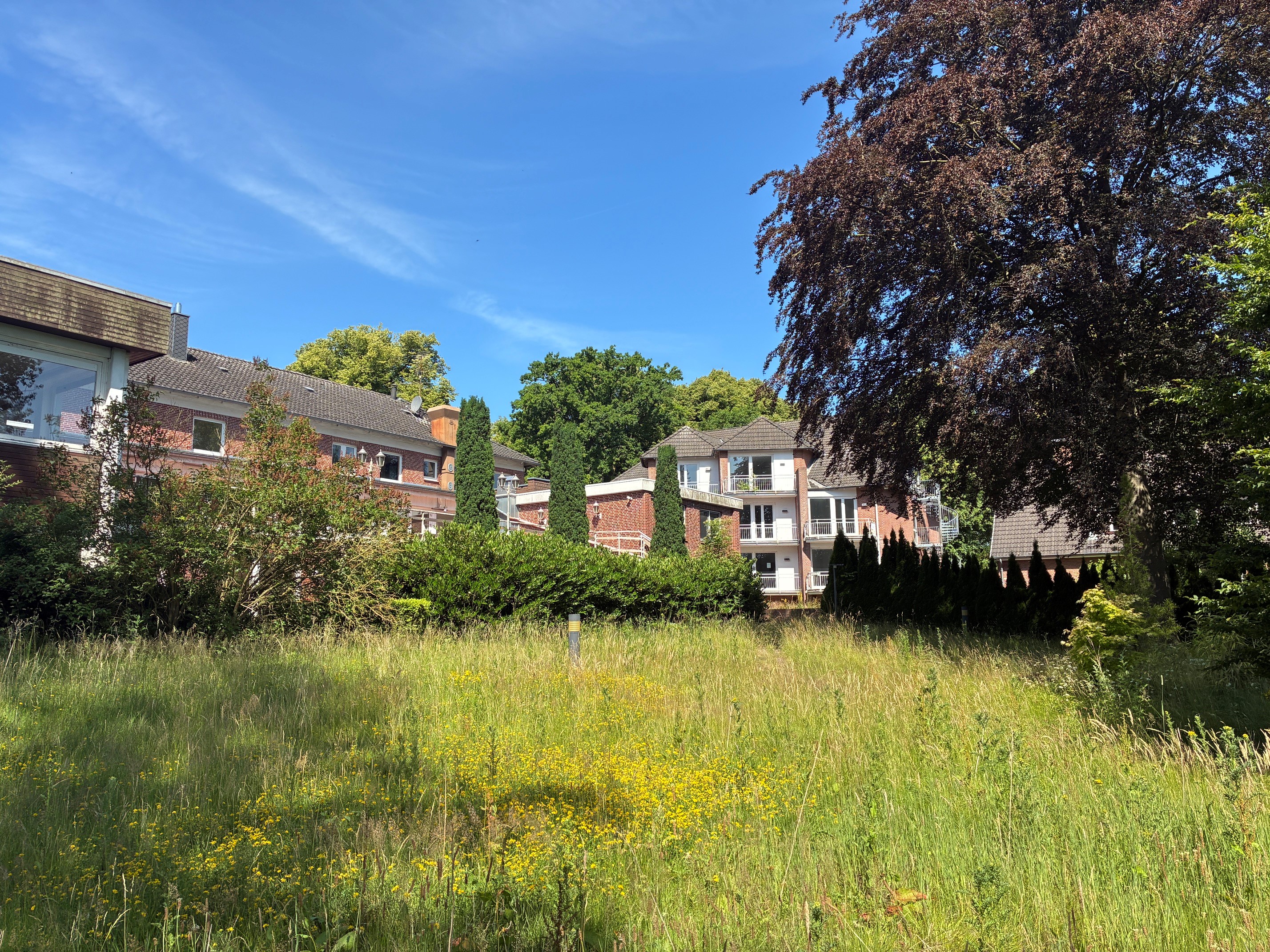 Garten Wardersee.jpg
