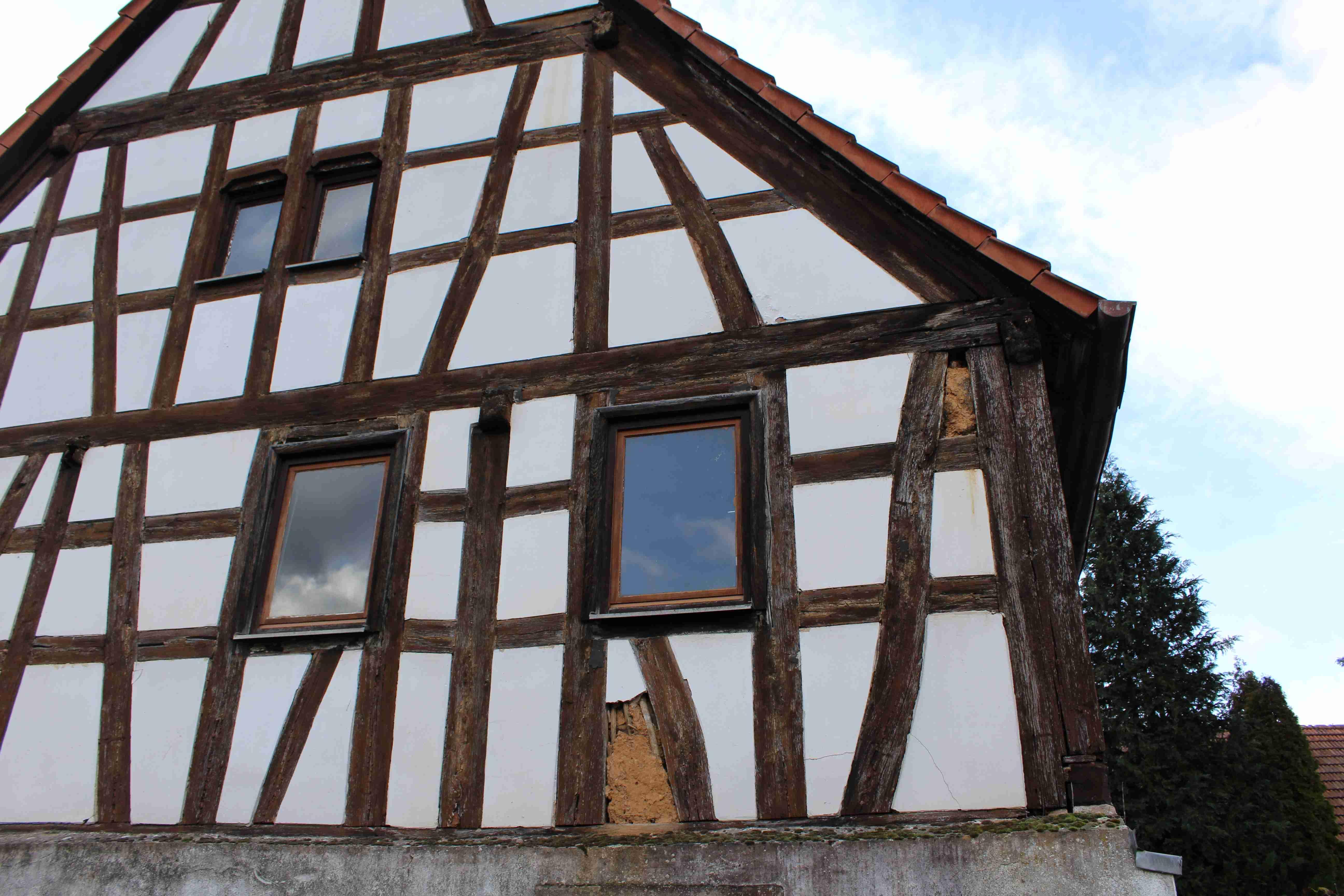 IMG 7485.JPG