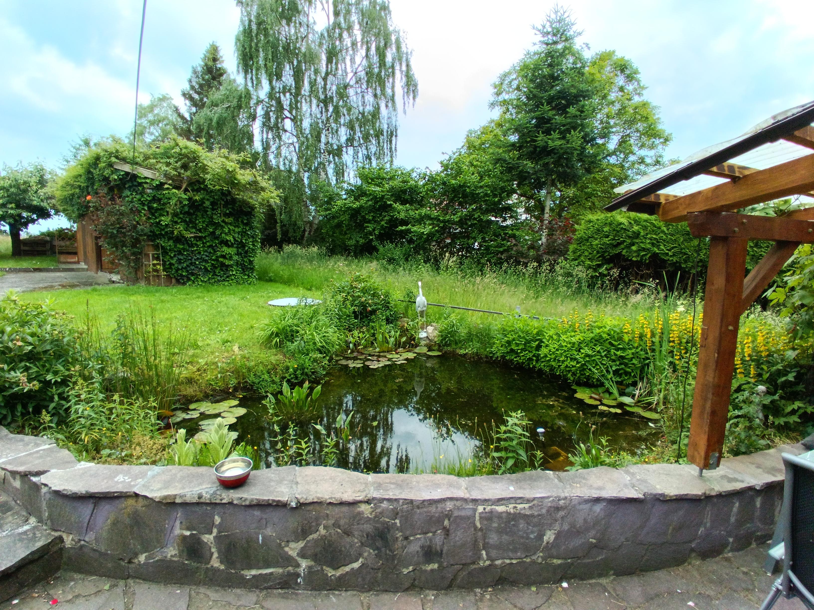02 - Garten - Teich.jpg