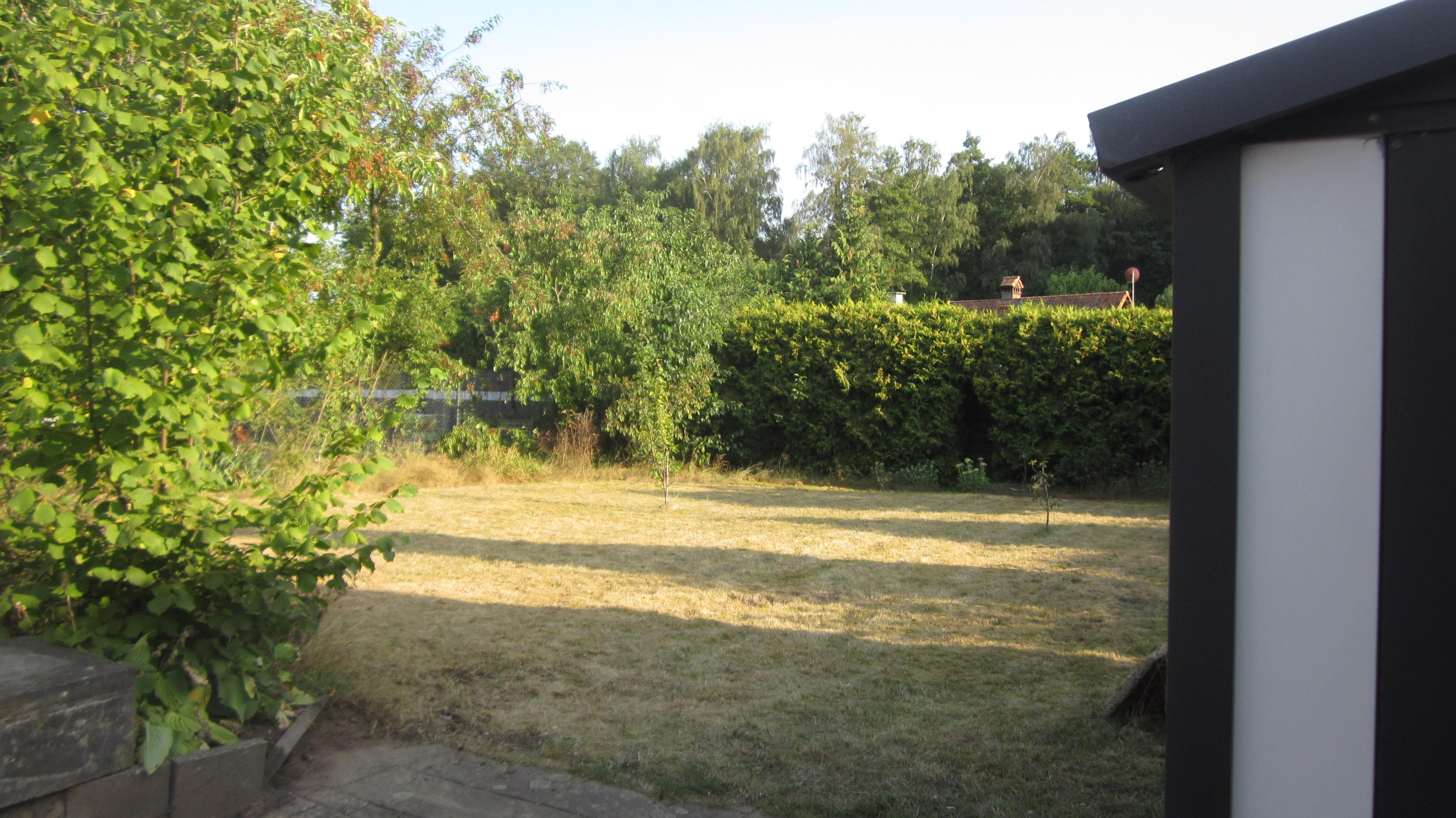 11-Garten-Wiese.JPG