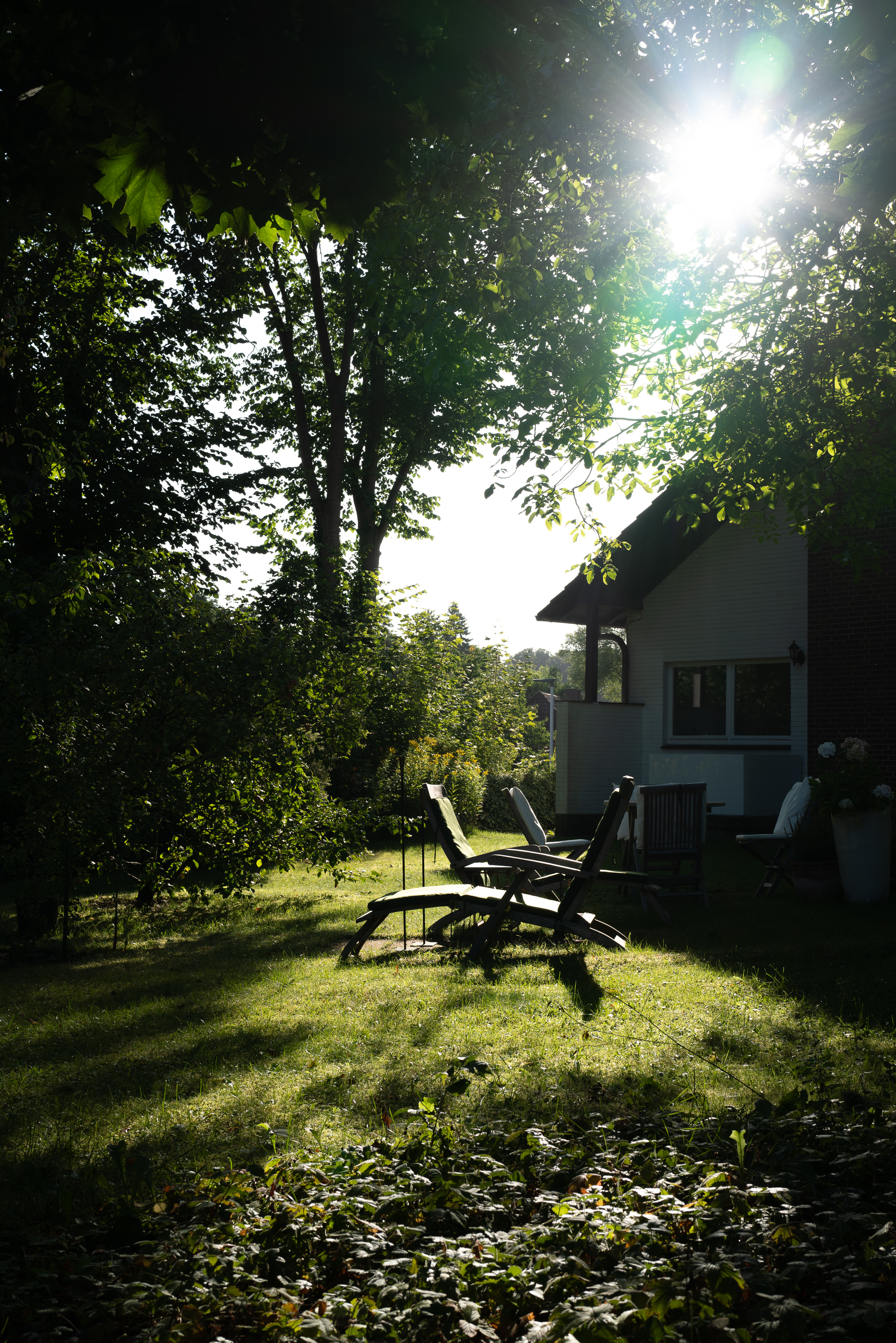 Morgenlicht