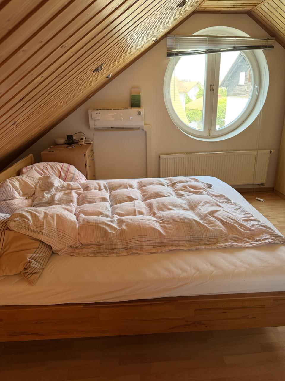 Dach-1-I.jpeg