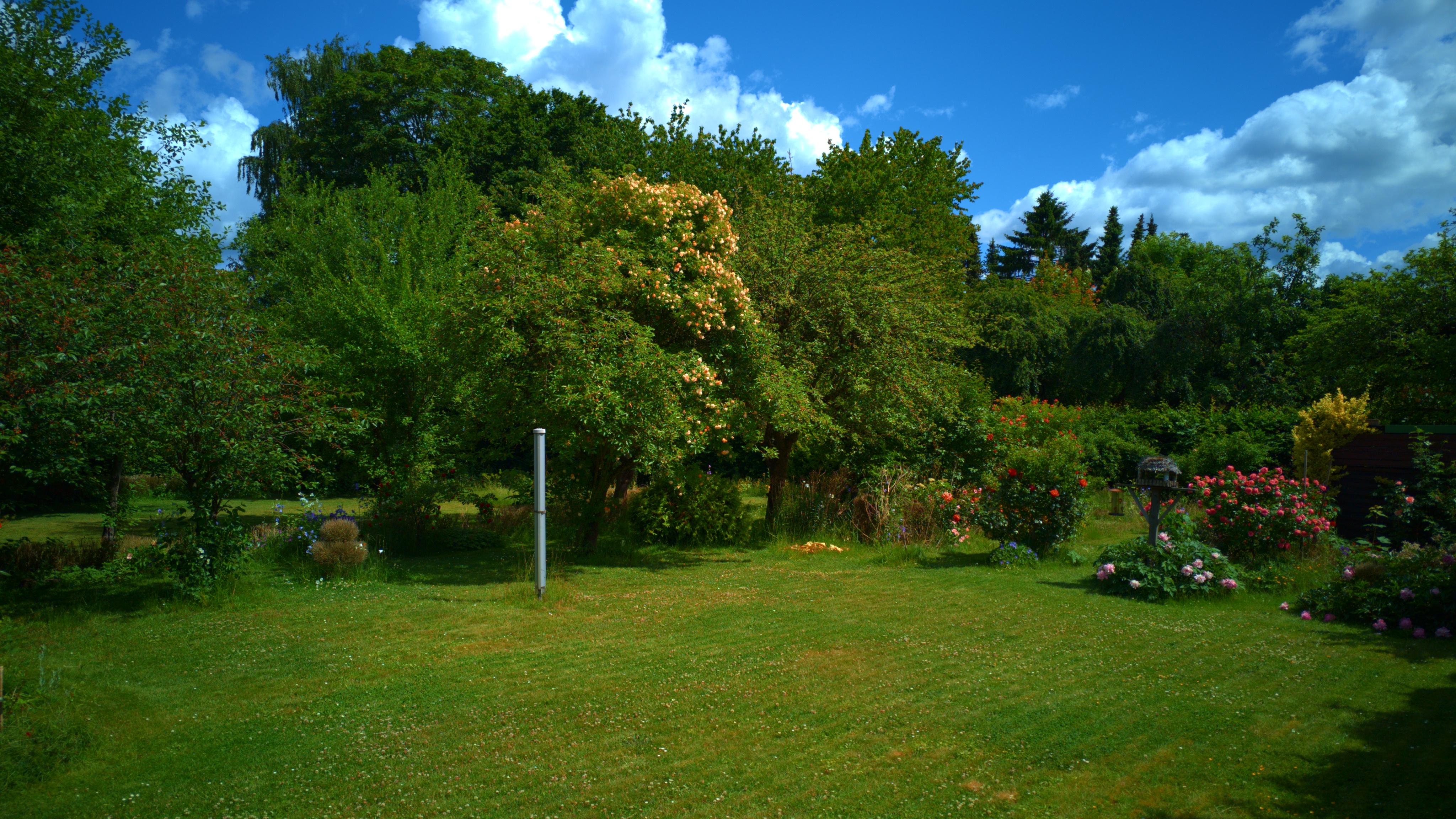 Garten 1 Hauptwohnung.jpg