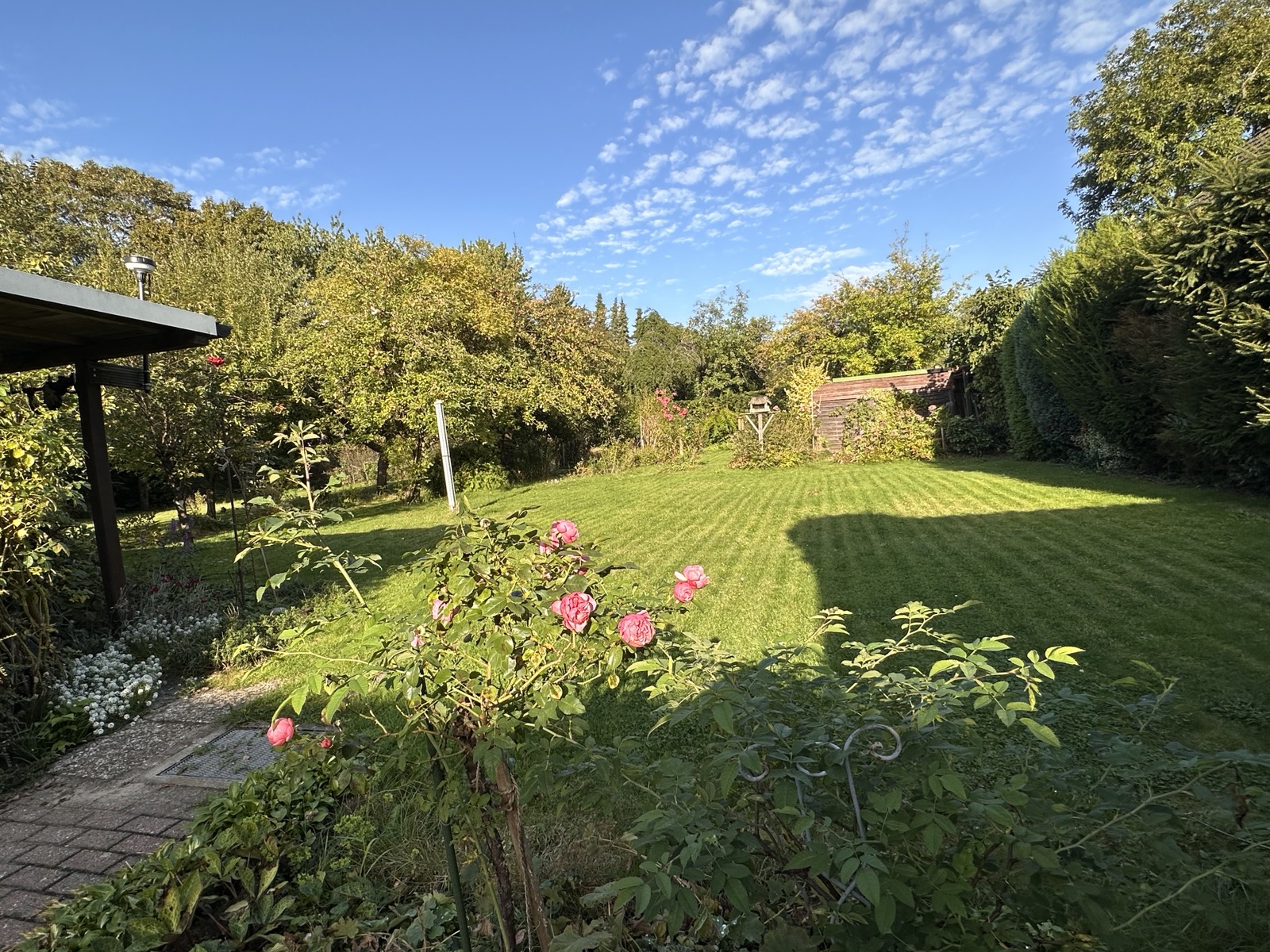 Garten 3 Hauptwohnung.jpg