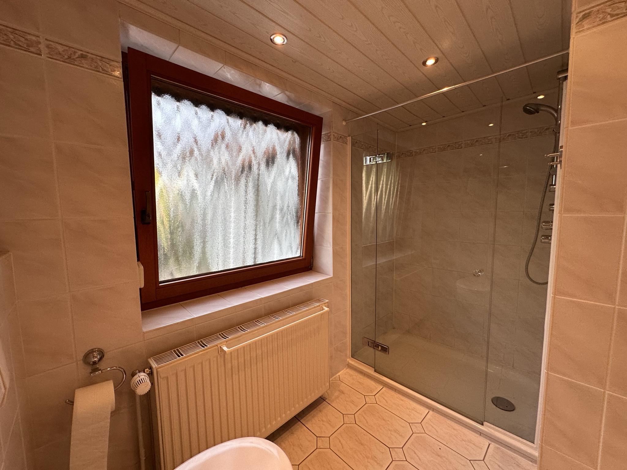 Dusche Hauptwohnung.jpg