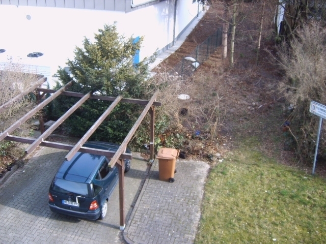 parkrücks.JPG