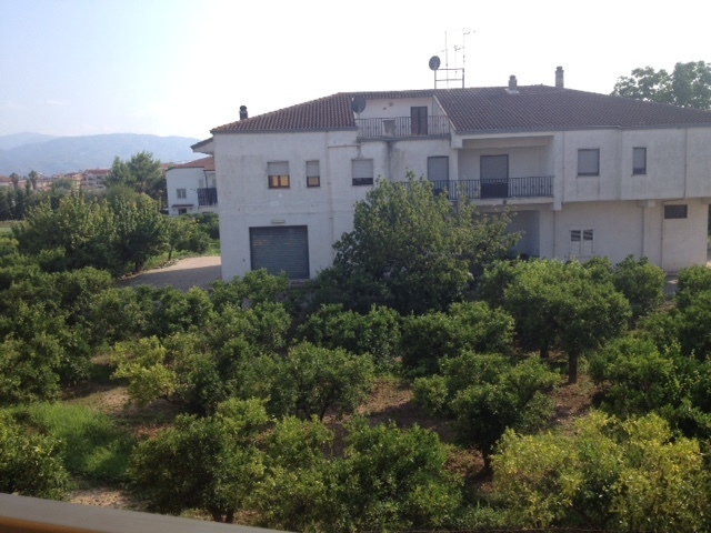 Obstgarten neben dem Gebäude - Fotos: Rosa A. 