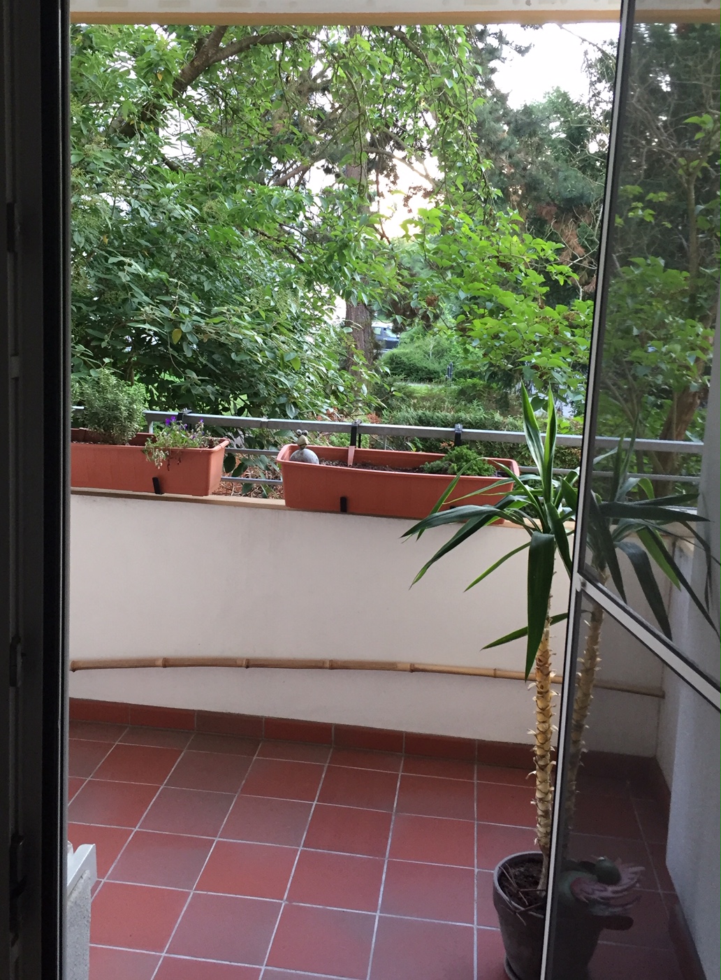 Balkon 2.jpg