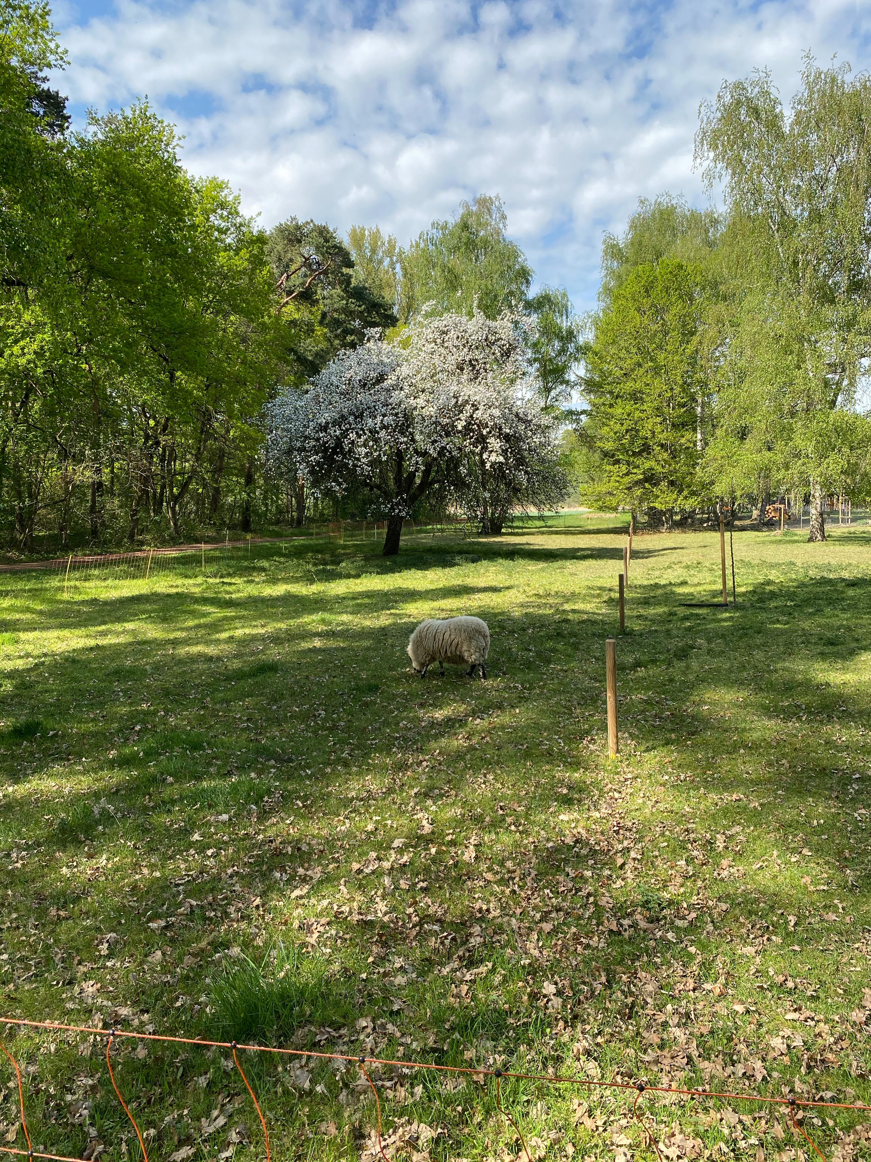 Naturschutzgebiet-001.jpg