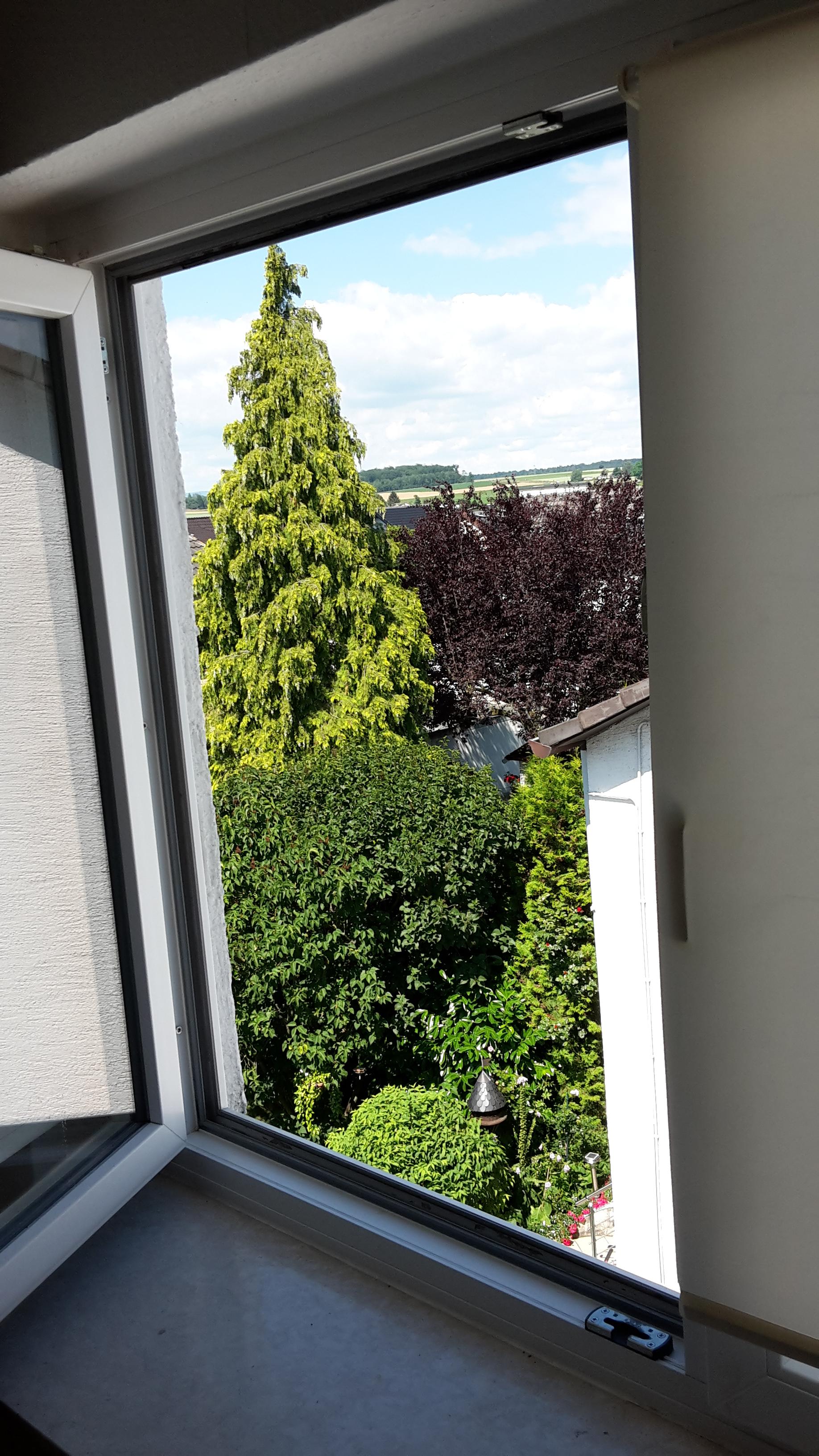 Ausblick Fenster DG