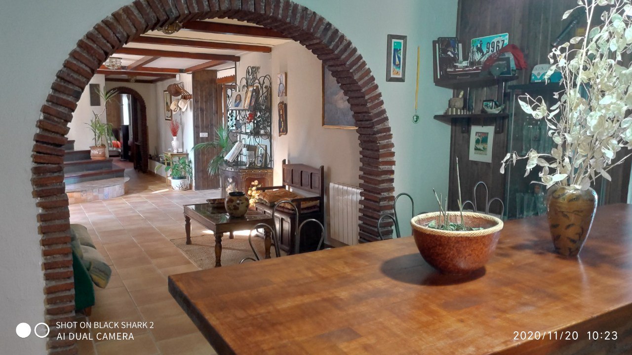 400097300941 186630.jpg