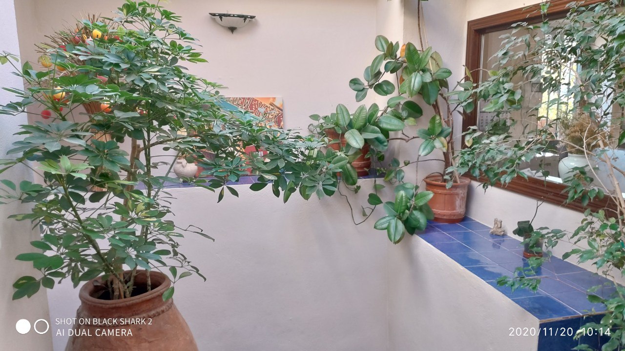 400090100491 187881.jpg