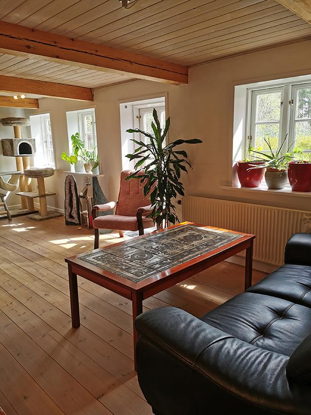 Haus 60 Wohnzimmer.jpg