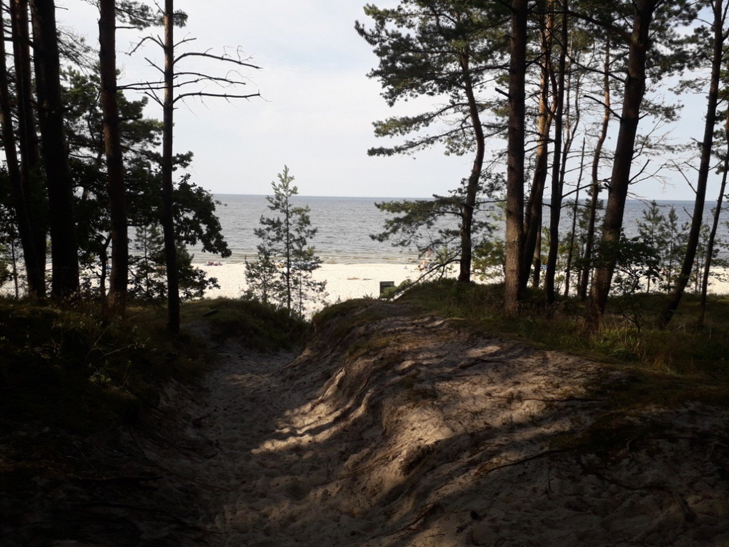 Großes Baugrundstück Ostsee Danziger Bucht