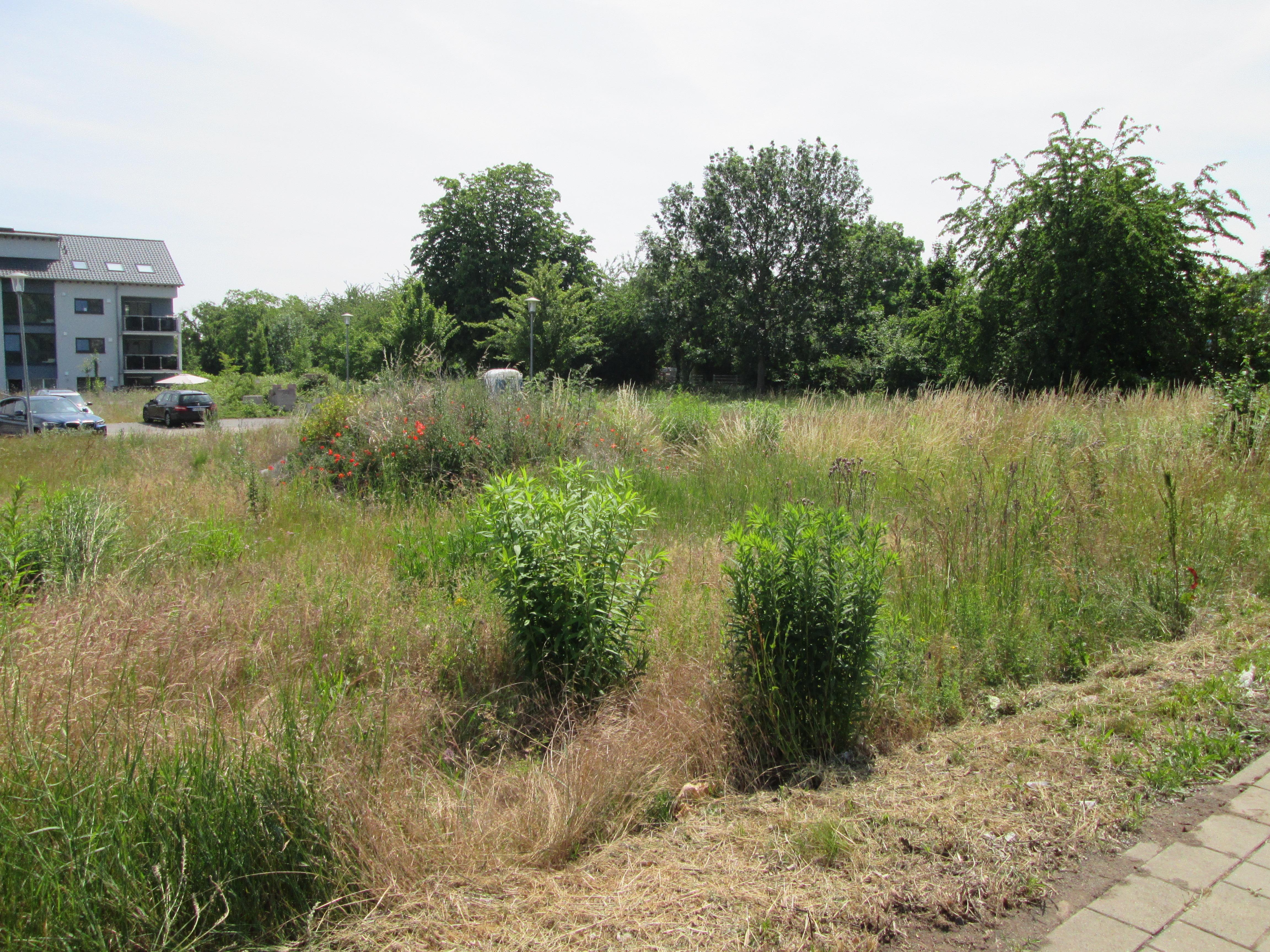 Bauplatz "In der Bitz" Flst. Nr. 4769 zu 895 m² gegen Höchstgebot zu verkaufen