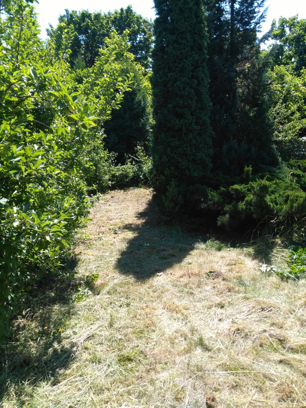 Objekt 616, Riesaer Weg