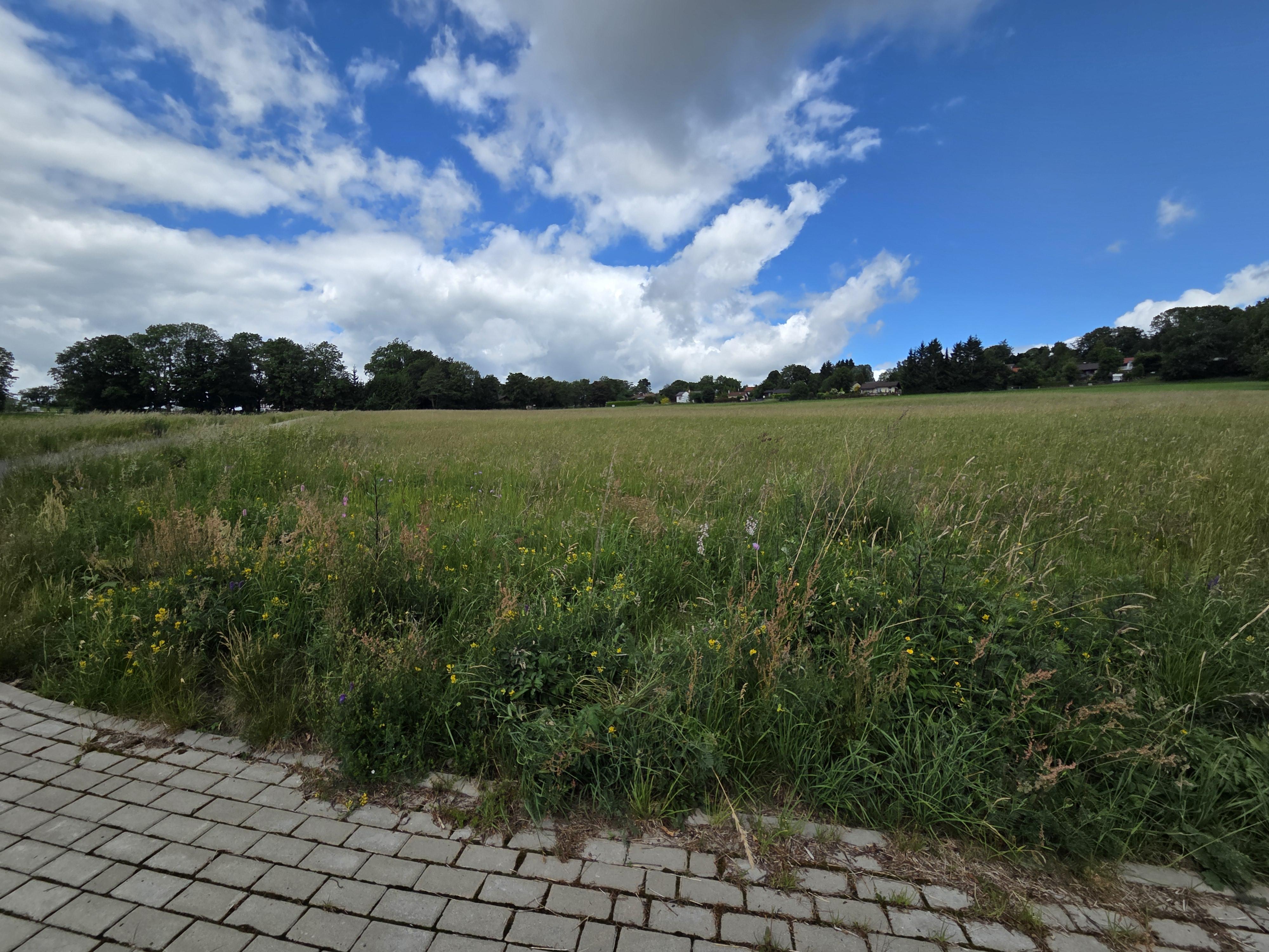 Bauplatz Hartmannshain Windmühlenblick 2