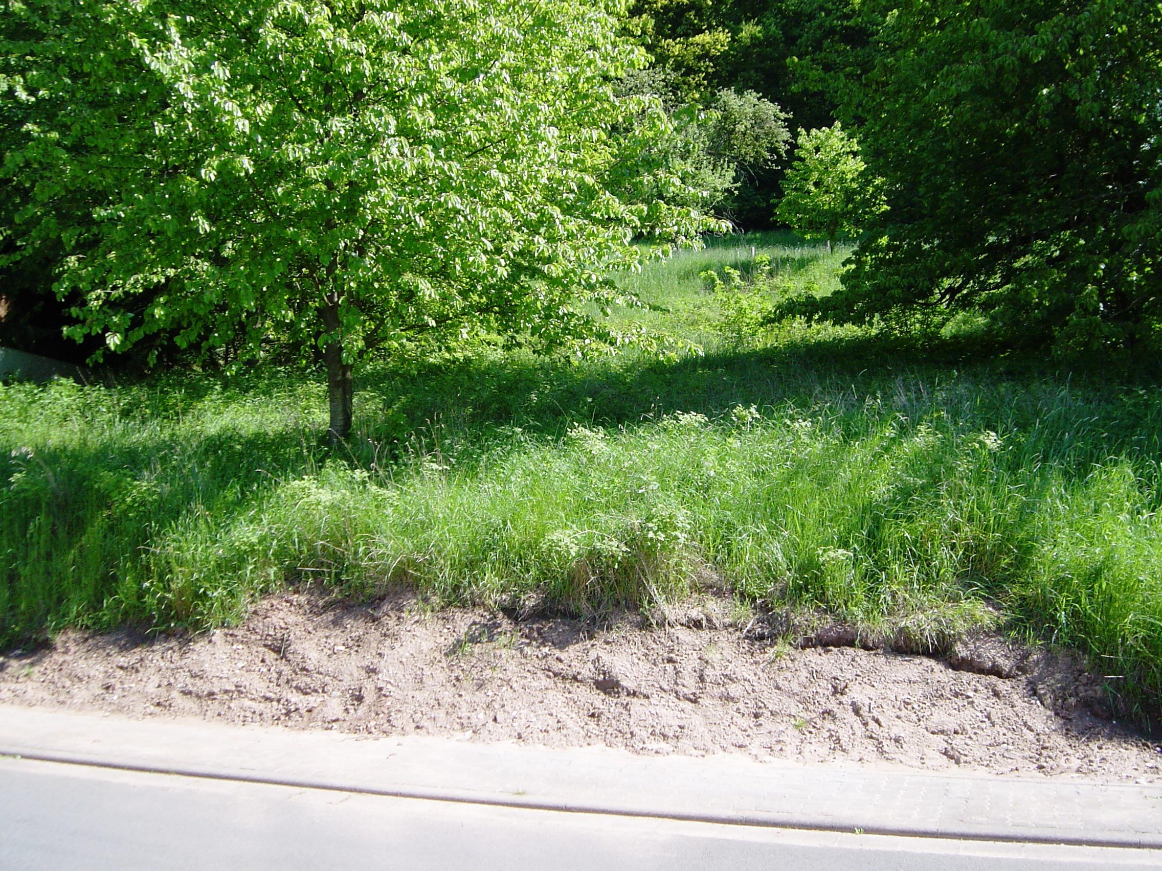 BAUGRUNDSTÜCK BEI ESCHWEGE in (Wanfried/ Aue)