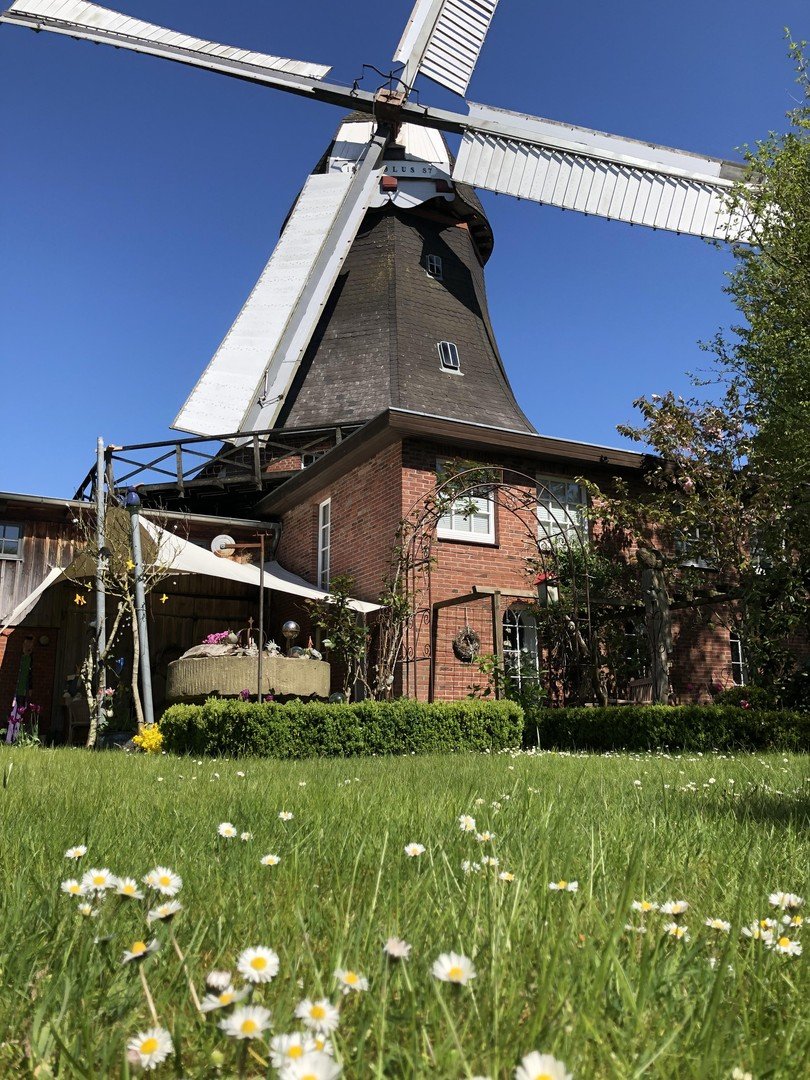 Historische Windmühle, zwei bezugsfertige gepflegte Wohnungen, 3700m² sehr gepflegter Garten