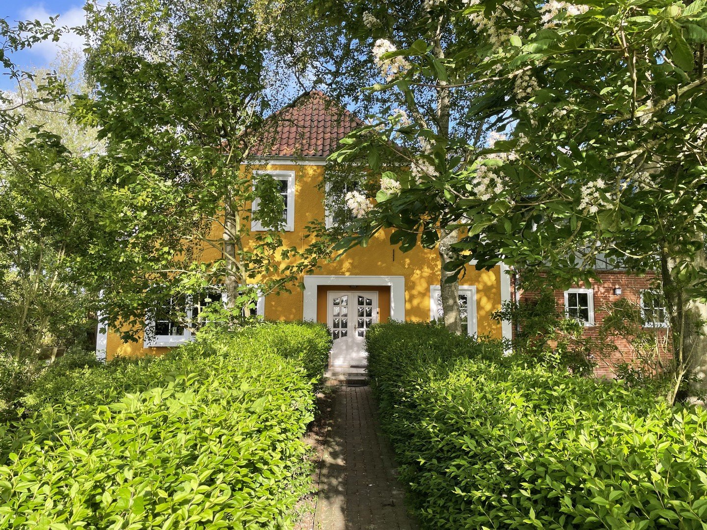 Landhaus/Resthof Nordstrand, Westküste, am Deich in Alleinlage, Energieklasse B-C