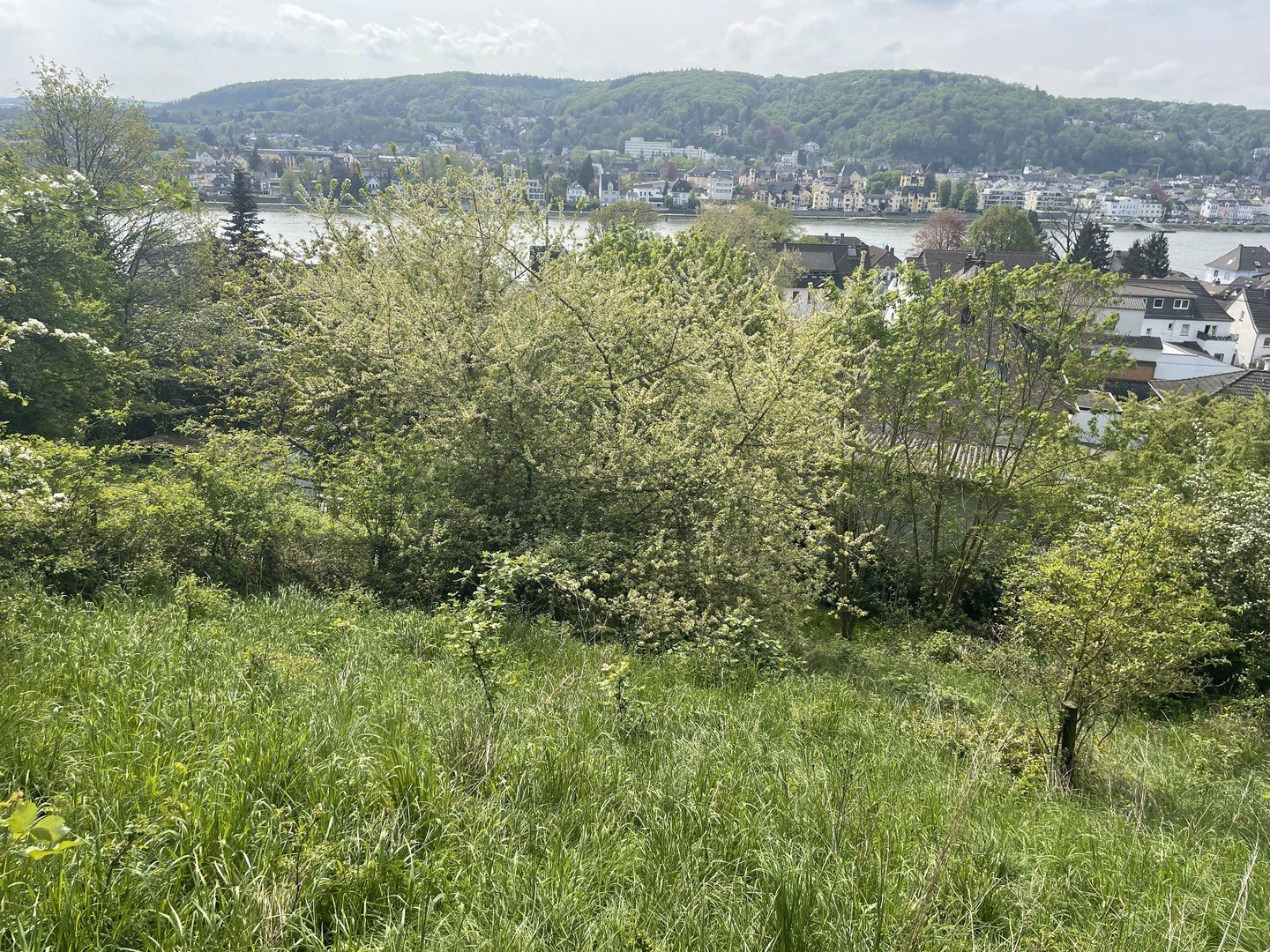 Verlockendes Angebot: Traumgrundstück mit Panoramablick auf den Rhein