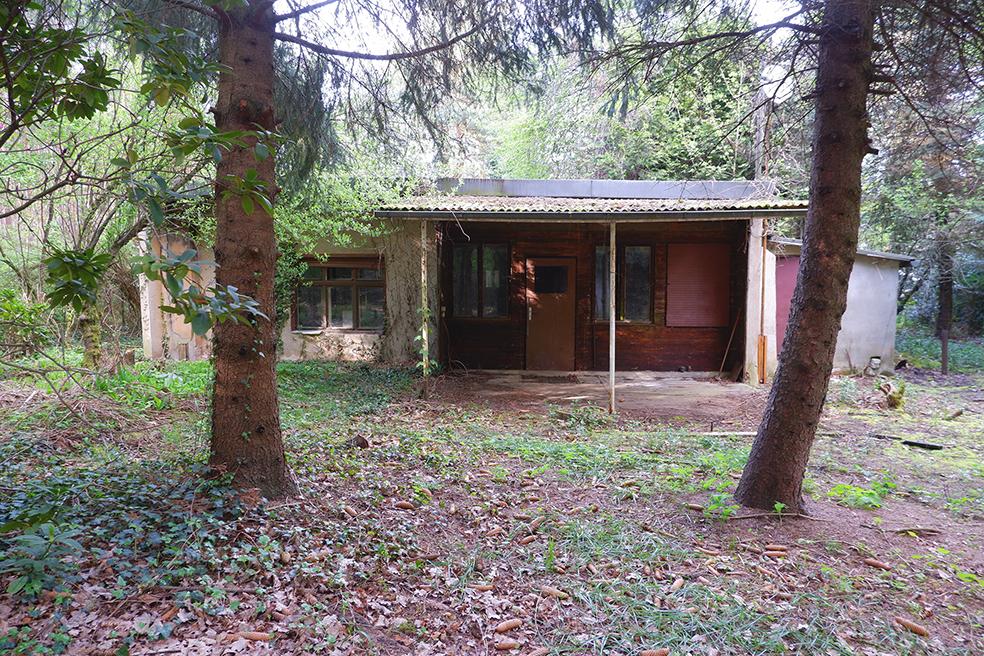 Idyllisches Wochenendgrundstück zum Kauf in Schwielochsee – Spreewald. Eigentum