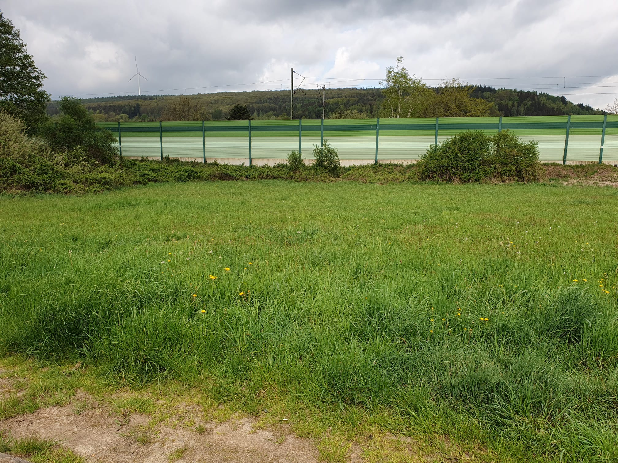 Schönes Baugrundstück im Kinzigtal ( Bad Soden - Salmünster )