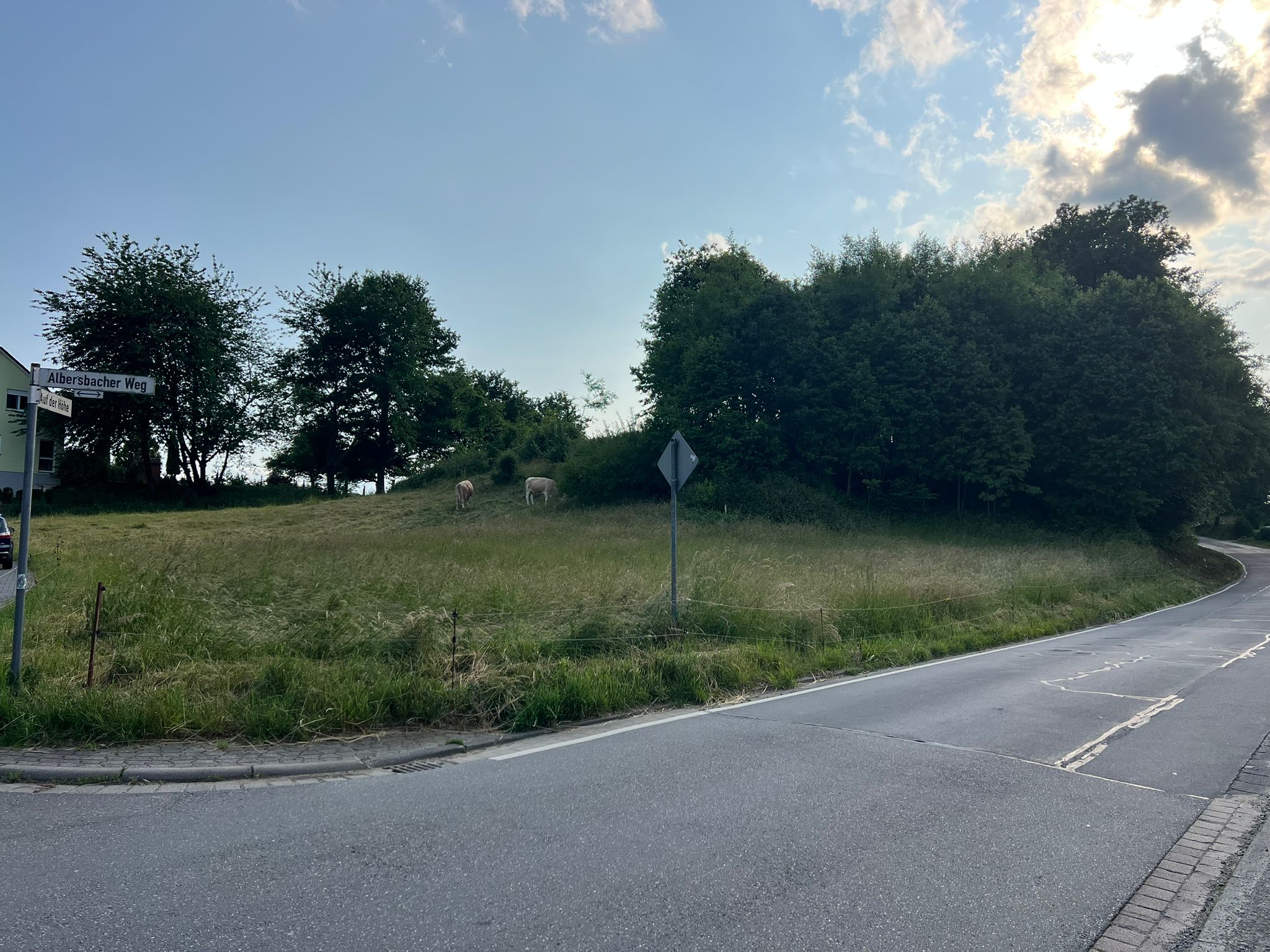 Bauplatz in Rimbach / 2