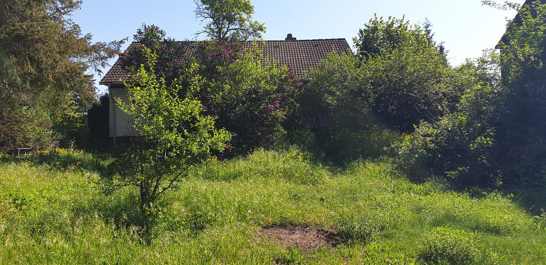 Grosses Baugrundstück in guter Lage