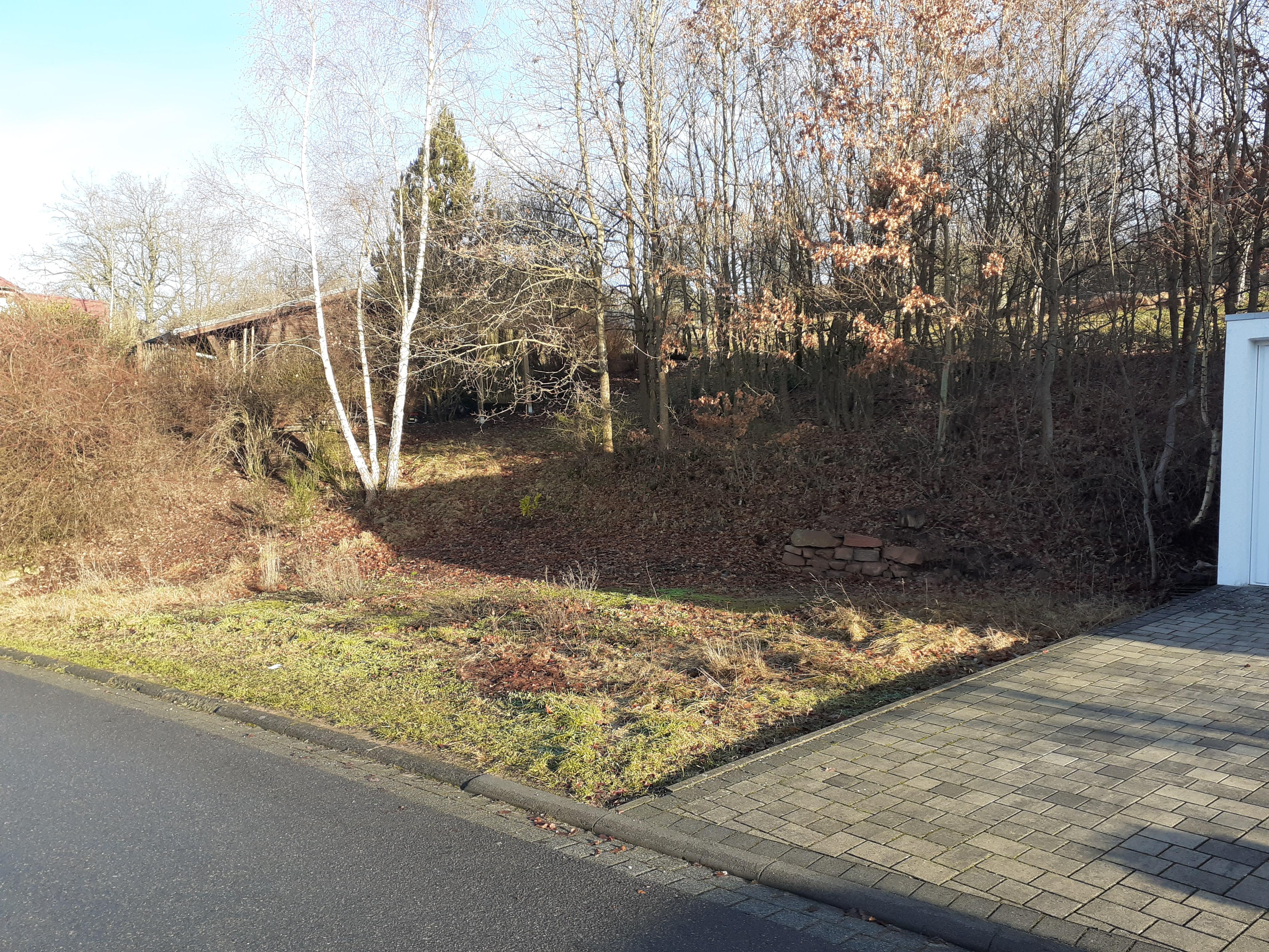 Bauplatz mit 300 m²