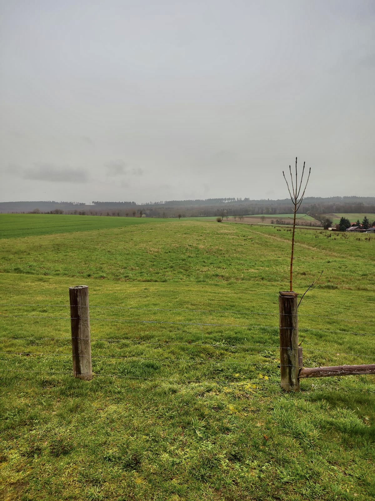 Grundstück in Einbeck‑Wenzen – Ackerland mit Baulandanteil, ca. 2.500 m² bis 7.500 m²  (weitere Flächen möglich)